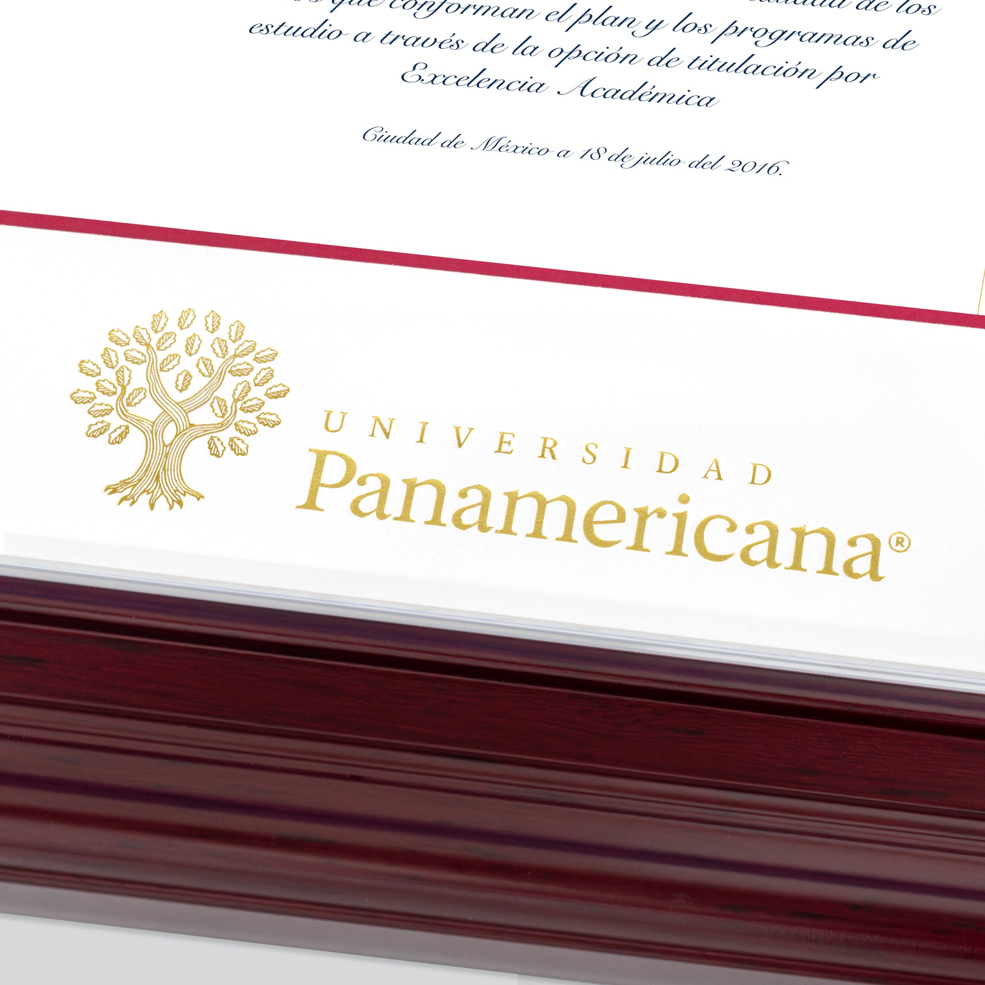 Marco Oficial para Título de la Universidad Panamericana® en Color Caoba con Filo Plata