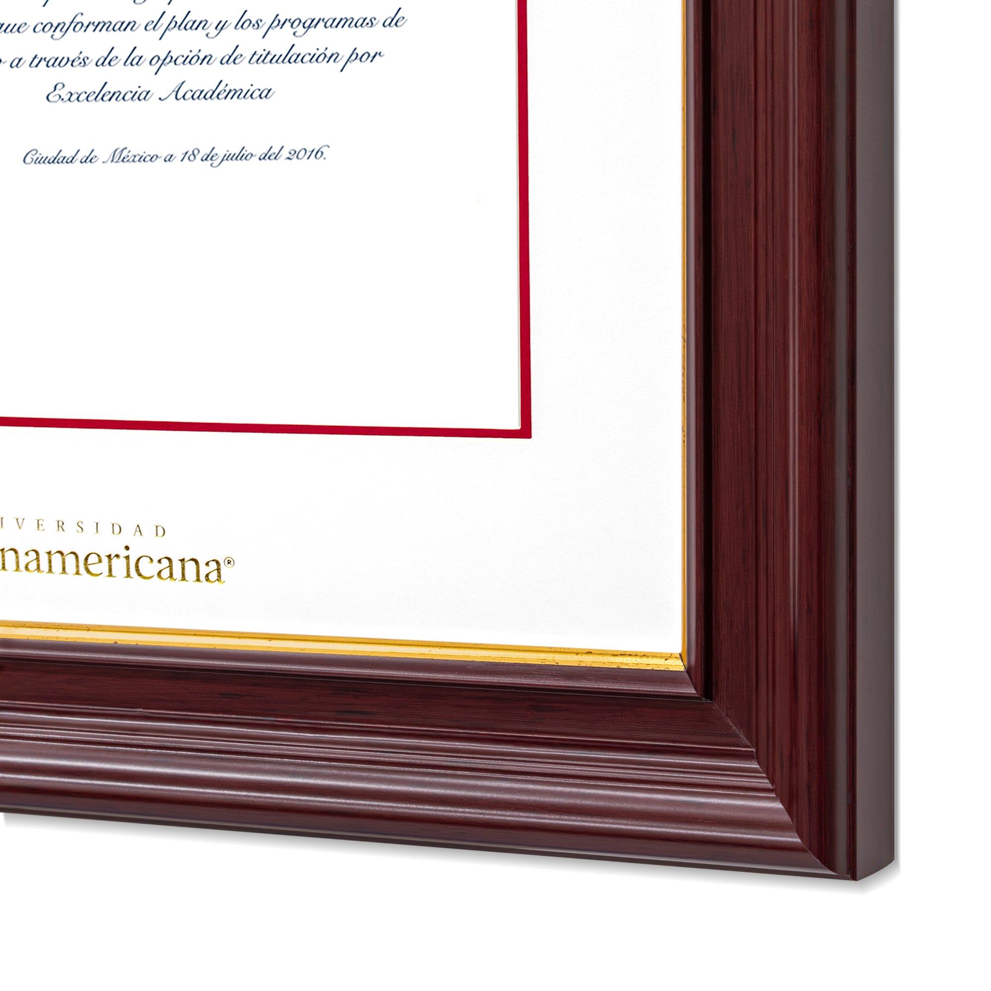 Marco Oficial para Título de la Universidad Panamericana® en Color Caoba con Filo Dorado