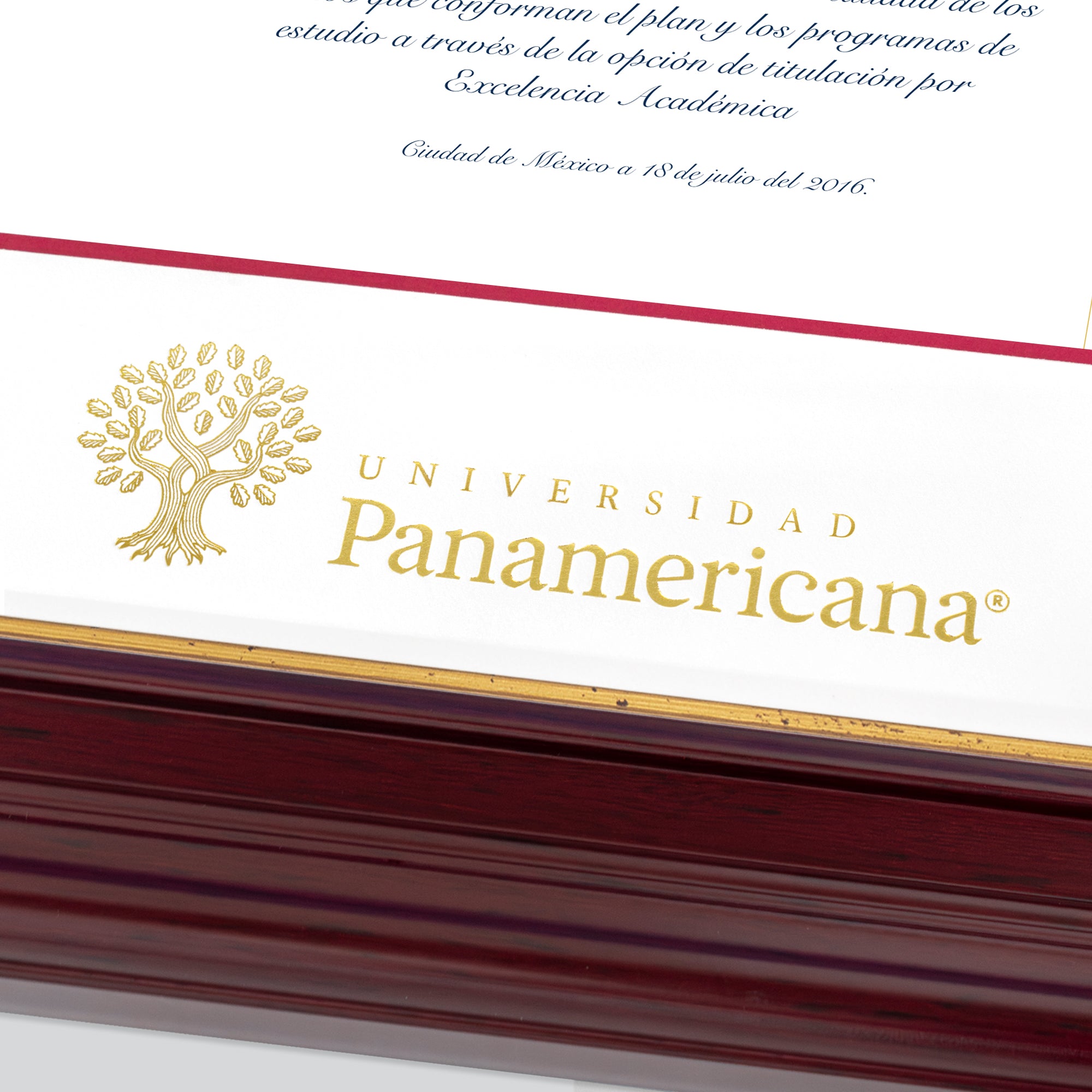 Marco Oficial para Título de la Universidad Panamericana® en Color Caoba con Filo Dorado