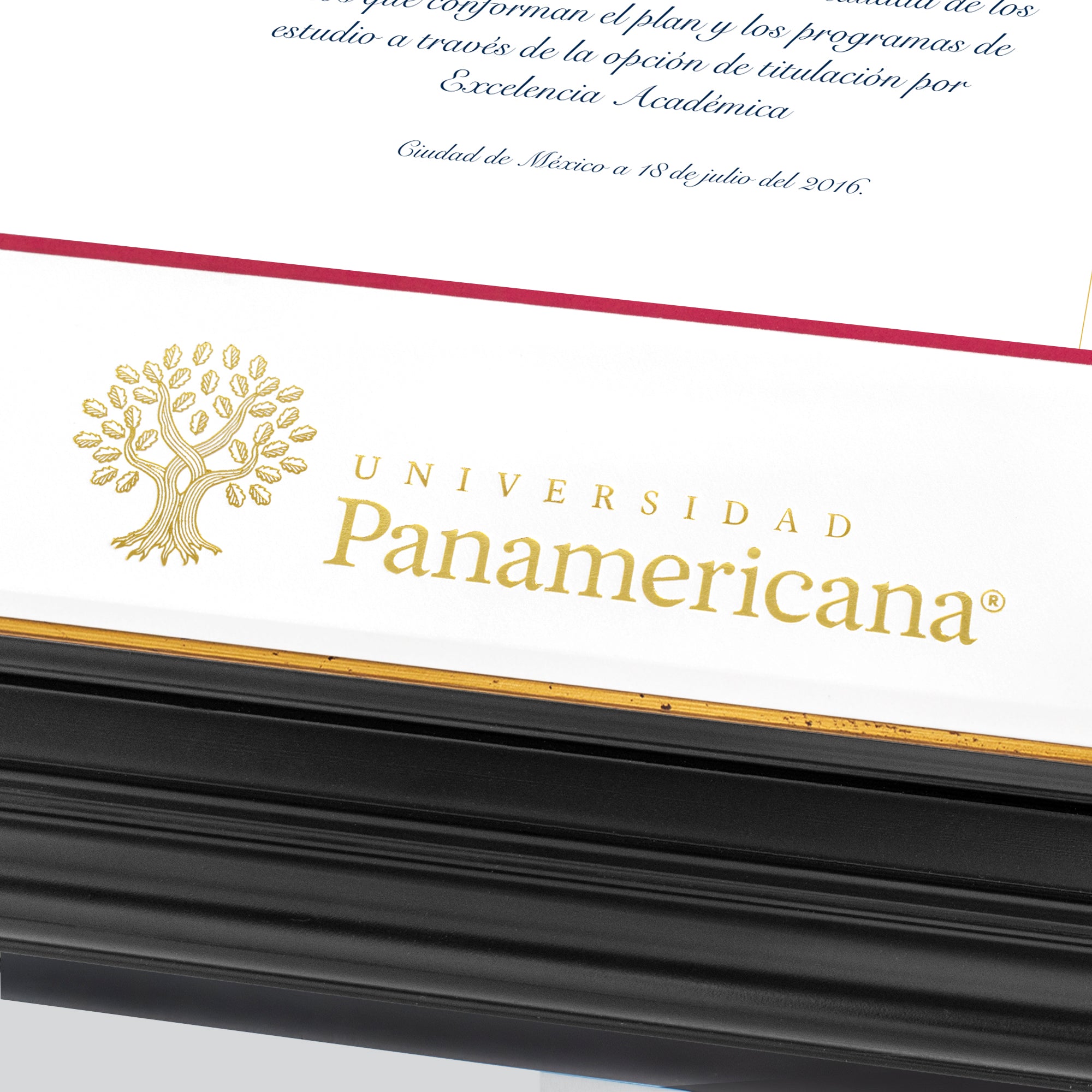 Marco Oficial para Título de la Universidad Panamericana® en Color Negro con Filo Dorado
