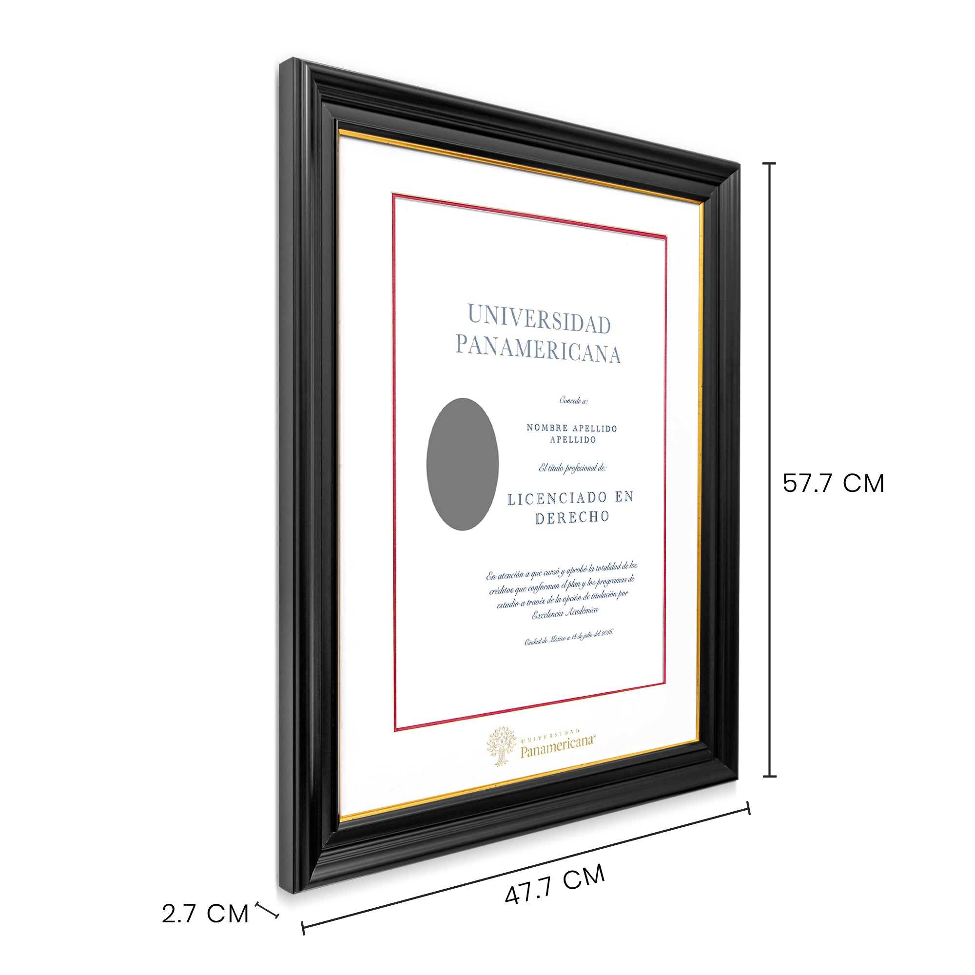 Marco Oficial para Título de la Universidad Panamericana® en Color Negro con Filo Dorado