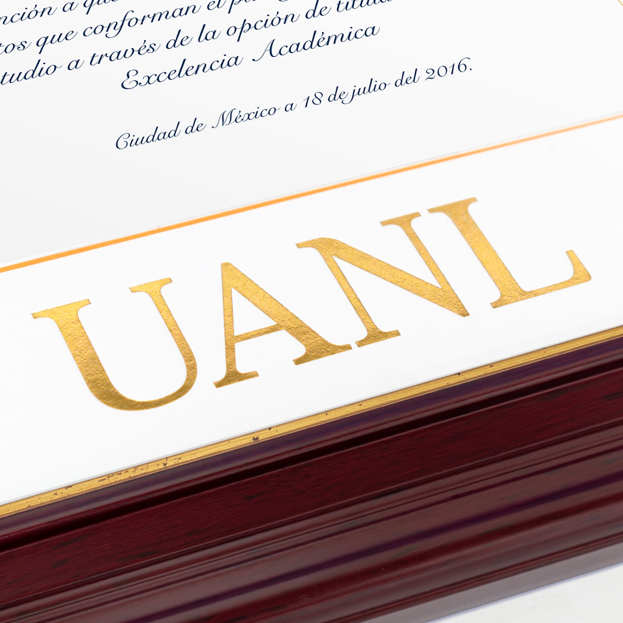 Marco Oficial en Color Caoba con Filo Dorado para Universidad UANL