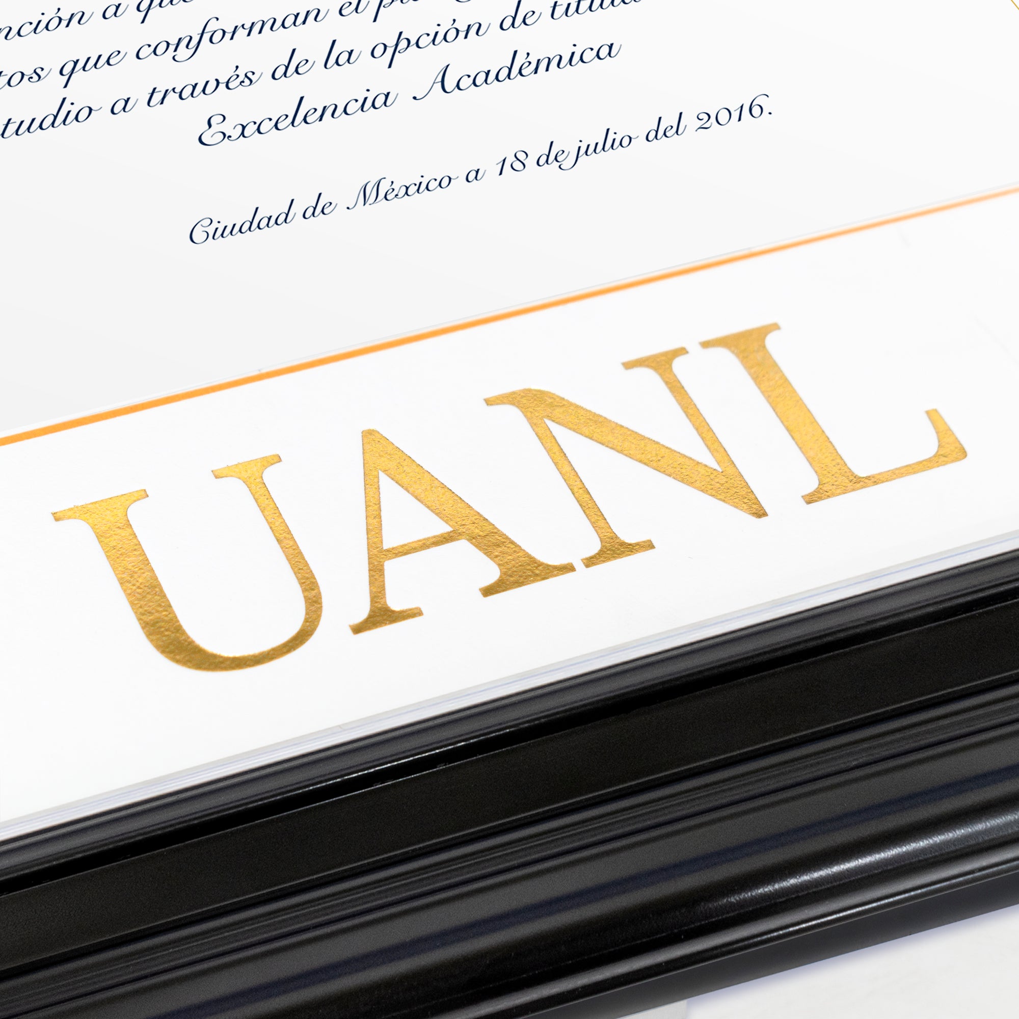 Marco Oficial en Color Negro con Filo Plata para Universidad UANL