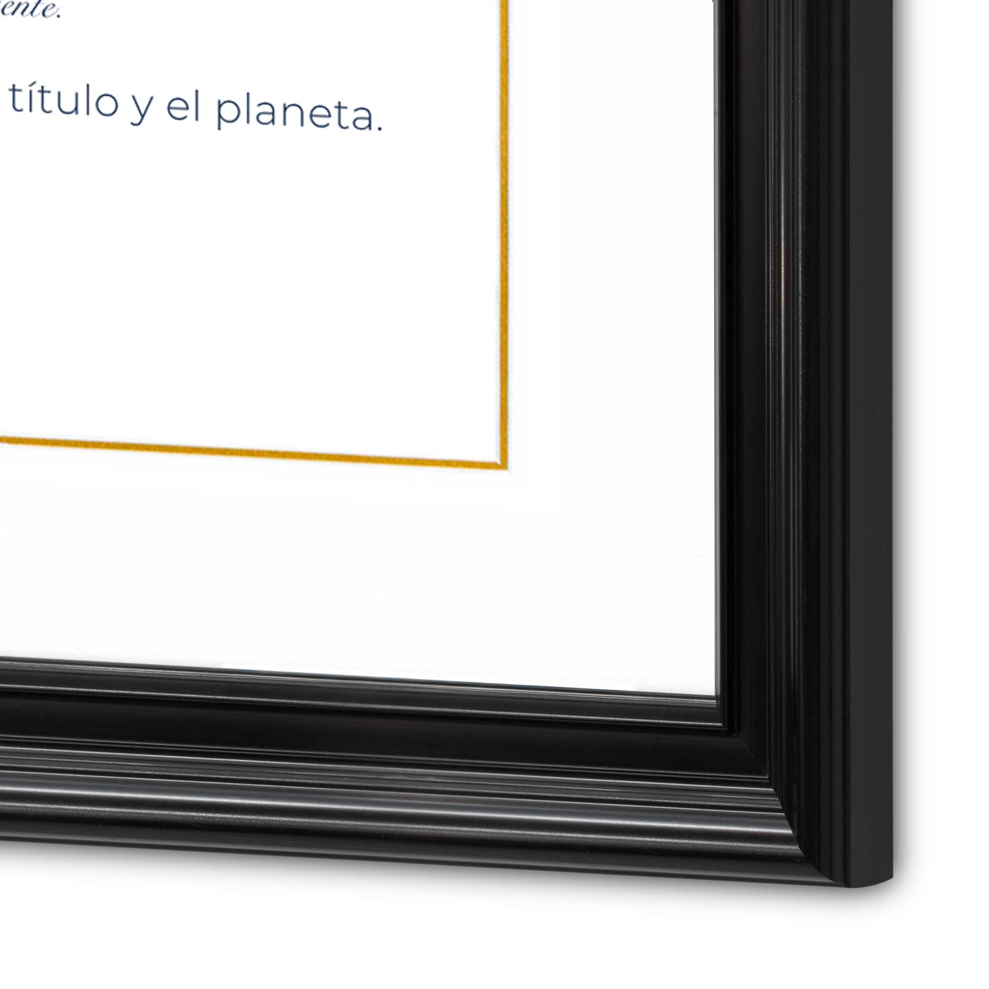 Marco para Título Profesional con Relieves y Marialuisa con Filo Dorado