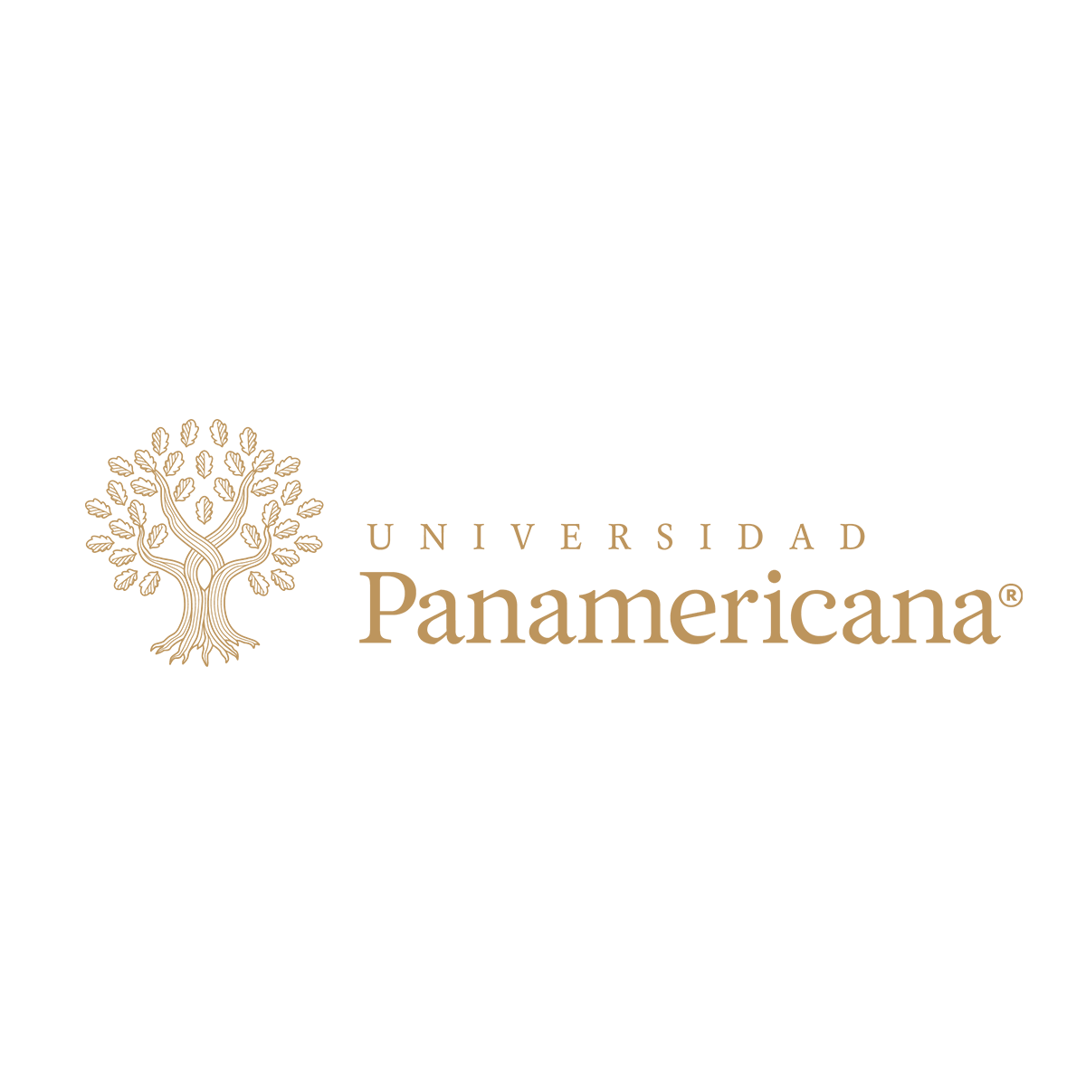 Universidad Panamericana UP