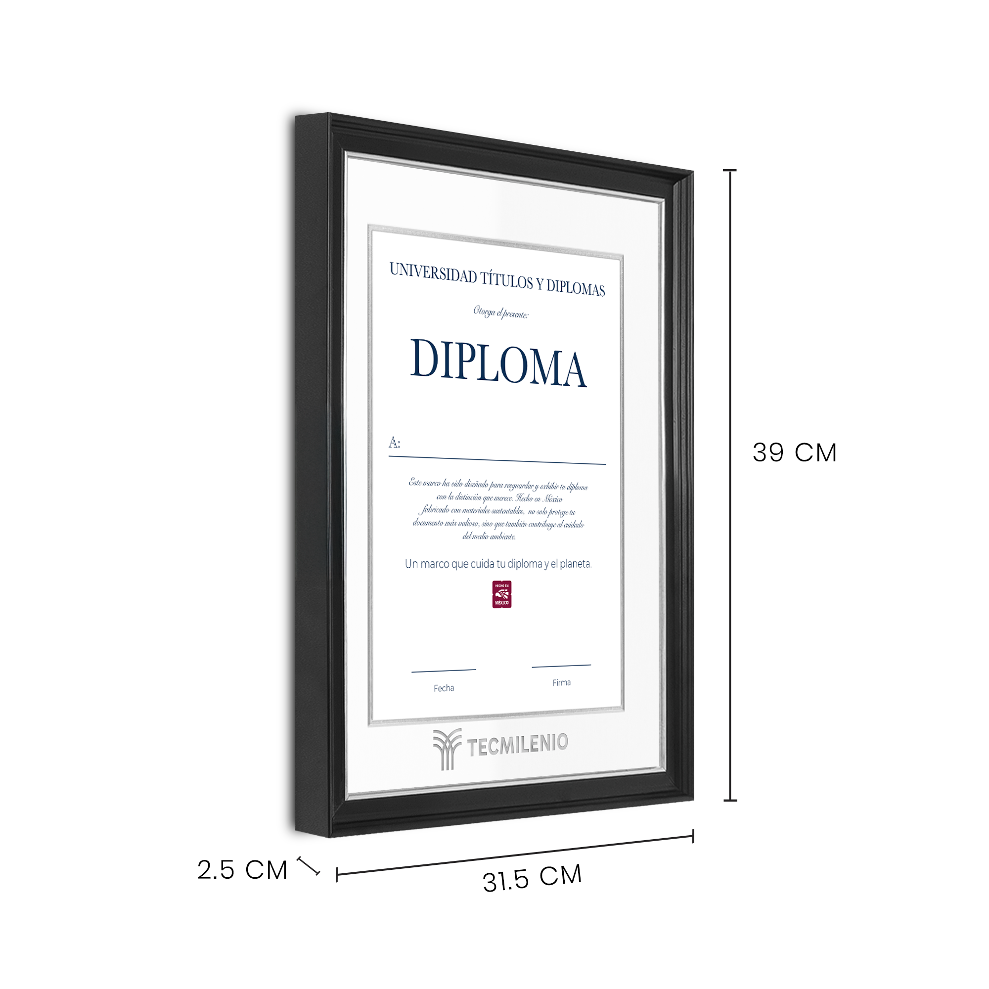 Diploma oficial Tecmilenio Marco negro con filo plateado