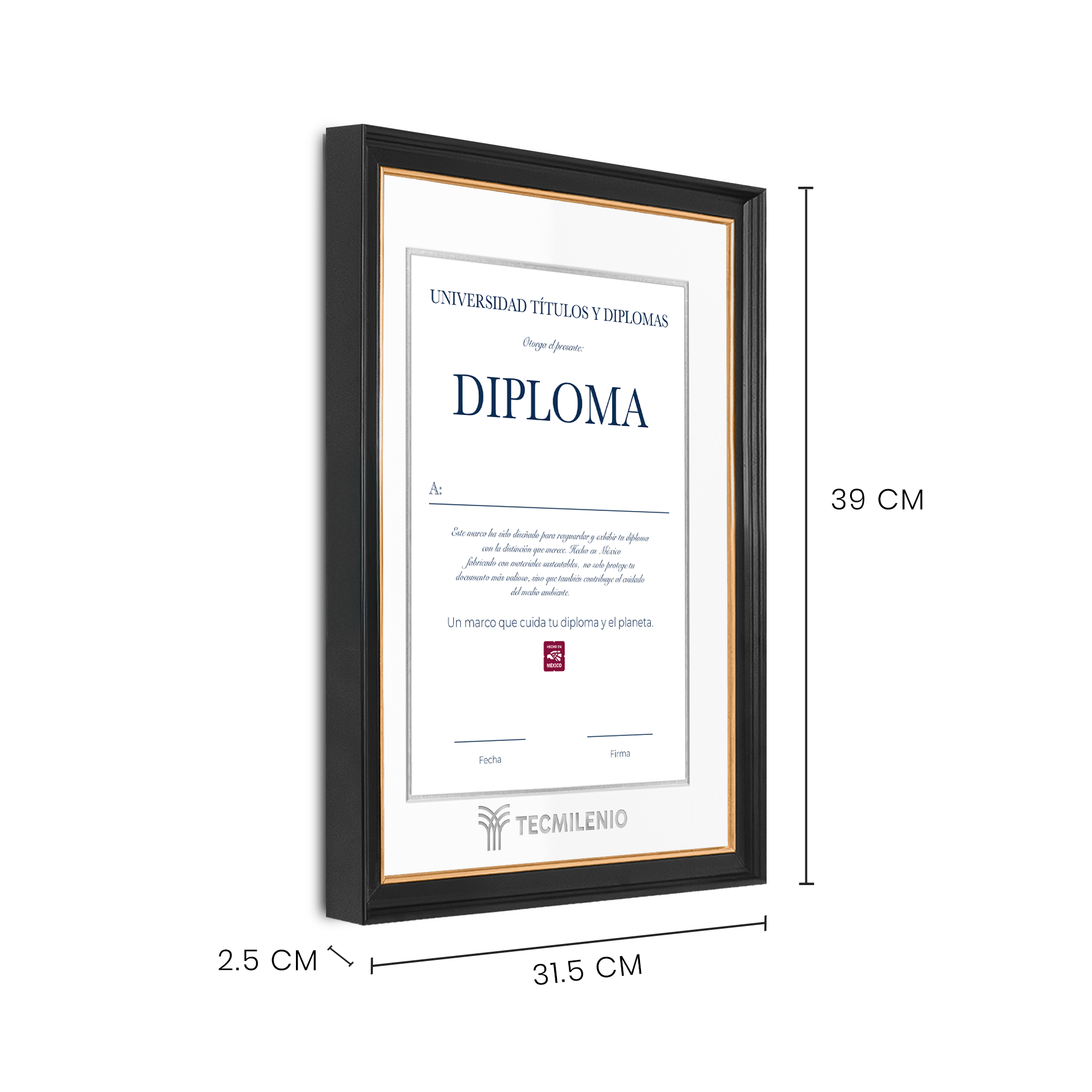 Diploma oficial Tecmilenio Marco negro con filo dorado