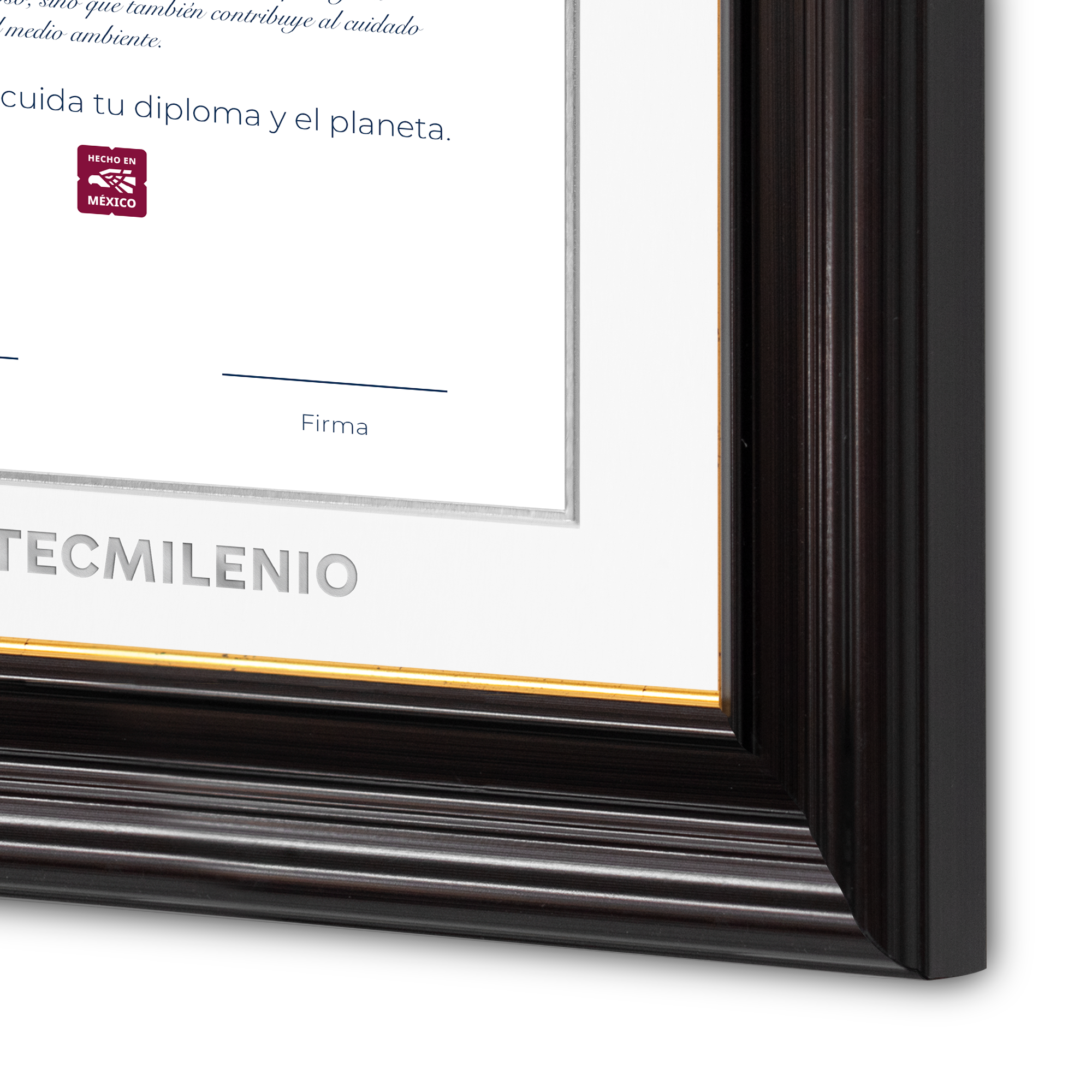 Diploma oficial Tecmilenio Marco negro con filo dorado