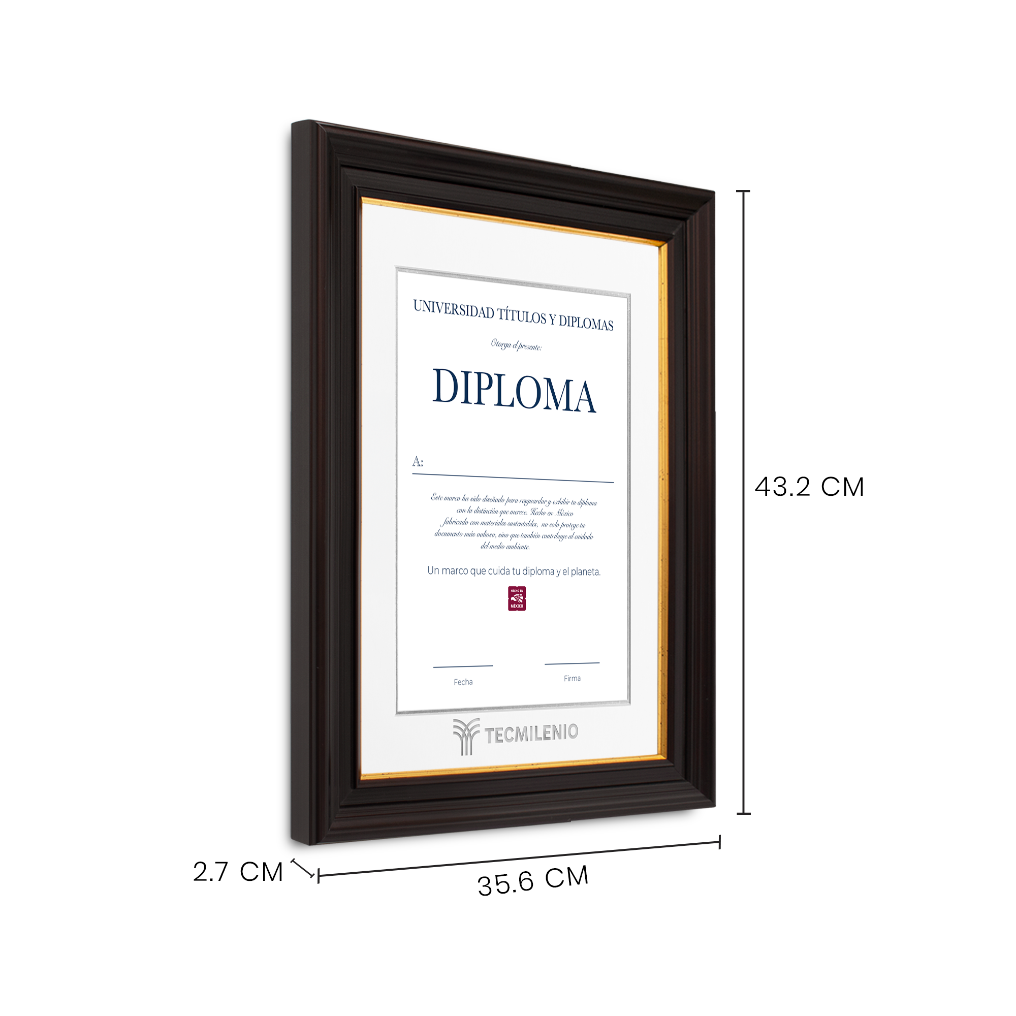 Diploma oficial Tecmilenio Marco negro con filo dorado