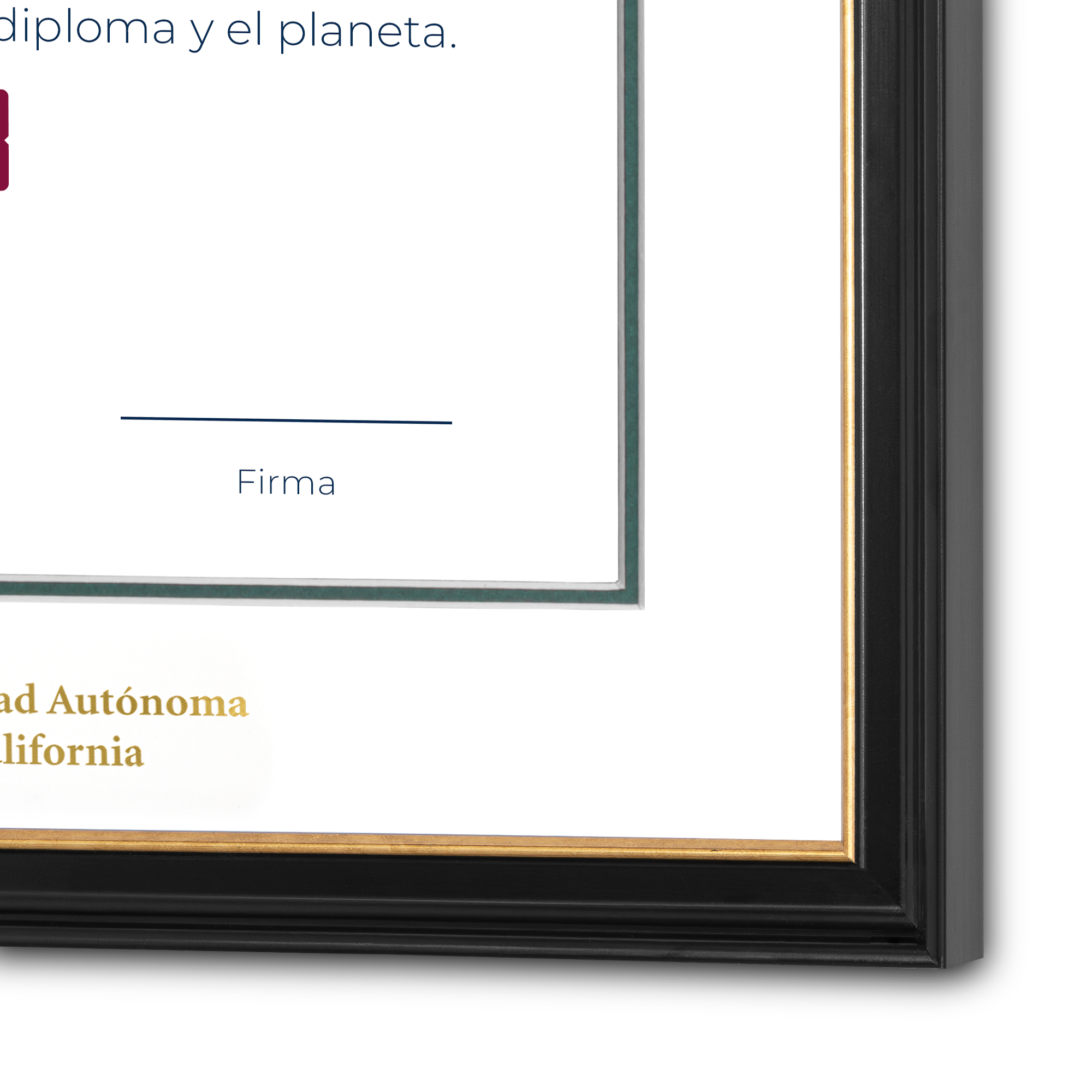 Diploma oficial UABC Marco negro con filo dorado