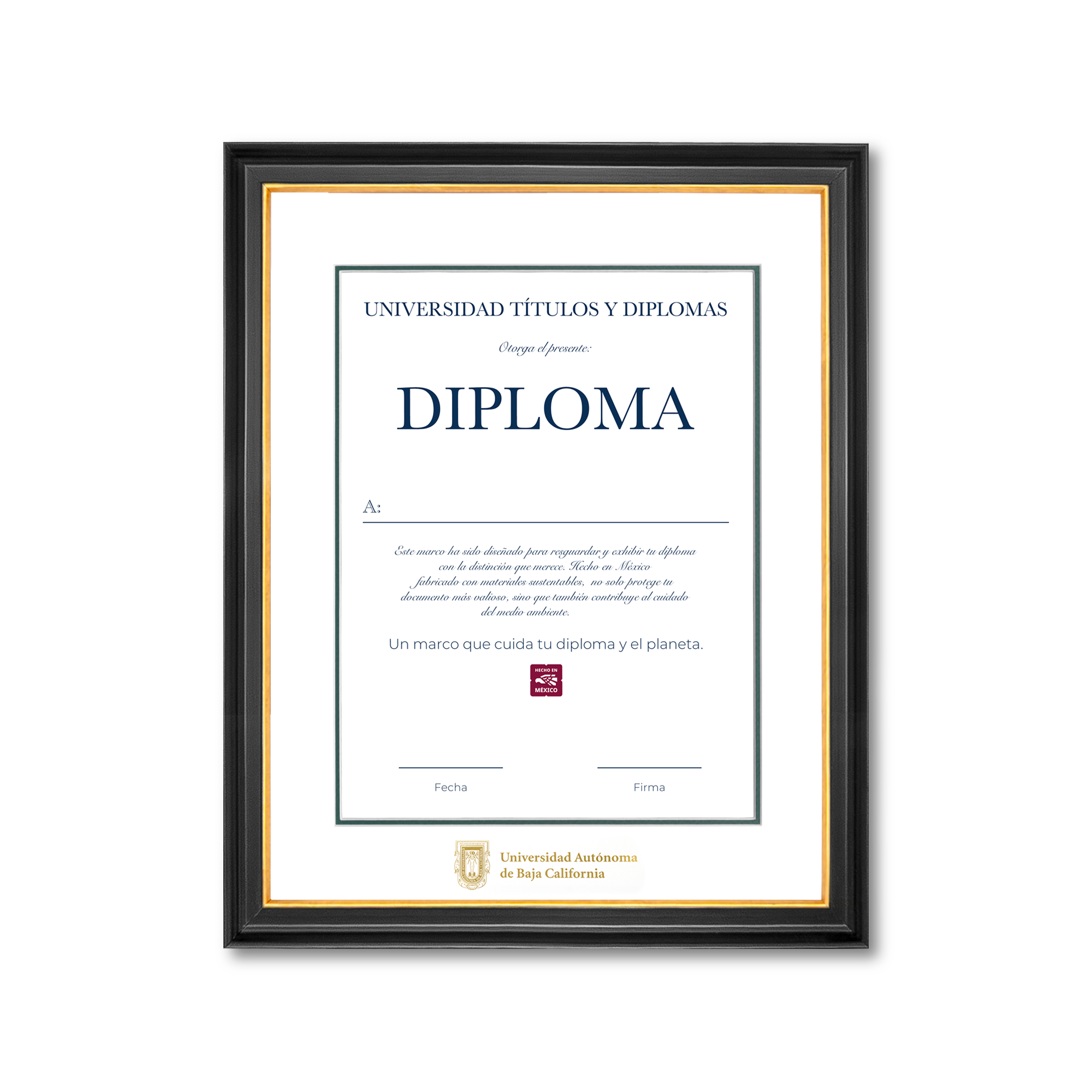 Diploma oficial UABC Marco negro con filo dorado