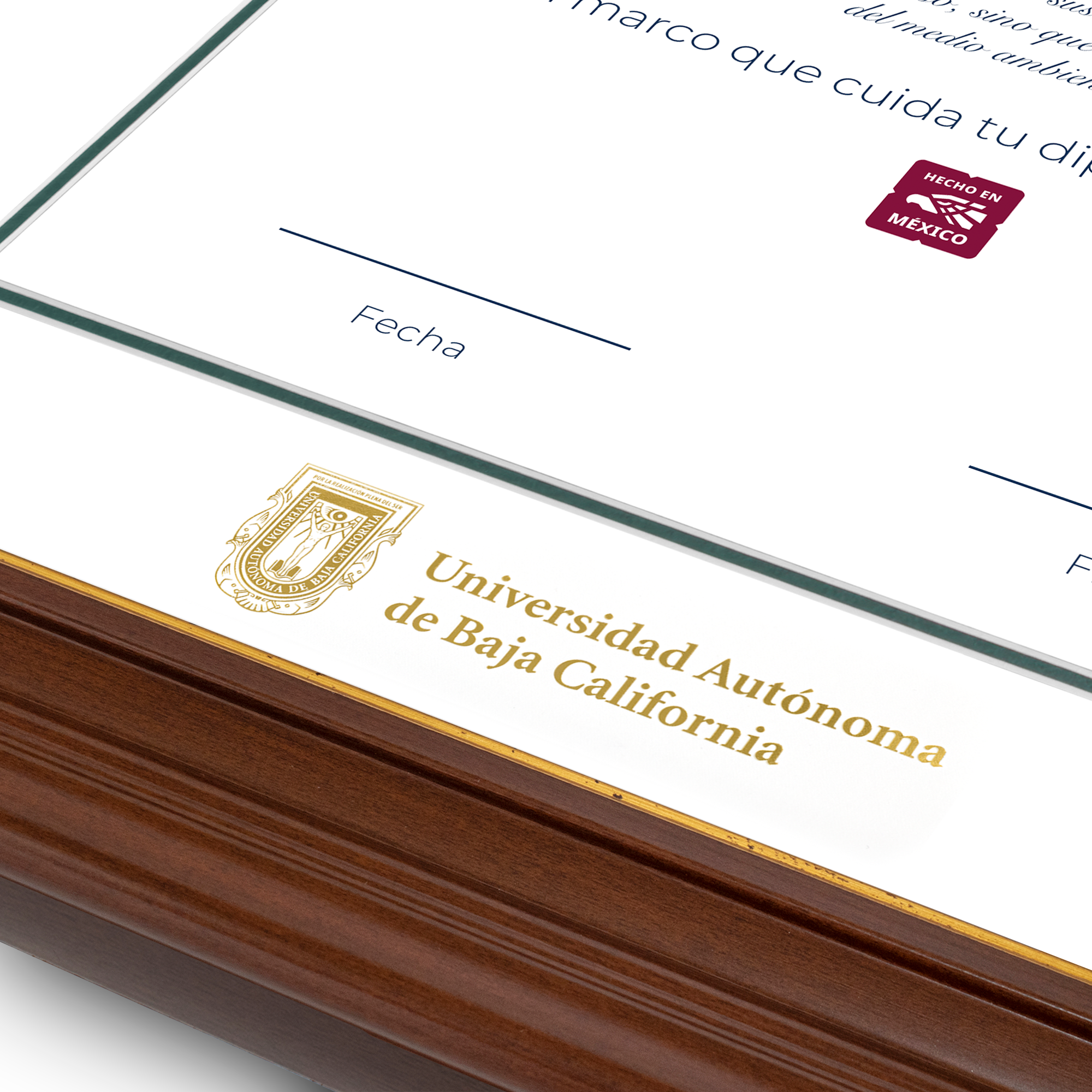 Diploma oficial UABC Marco color nogal