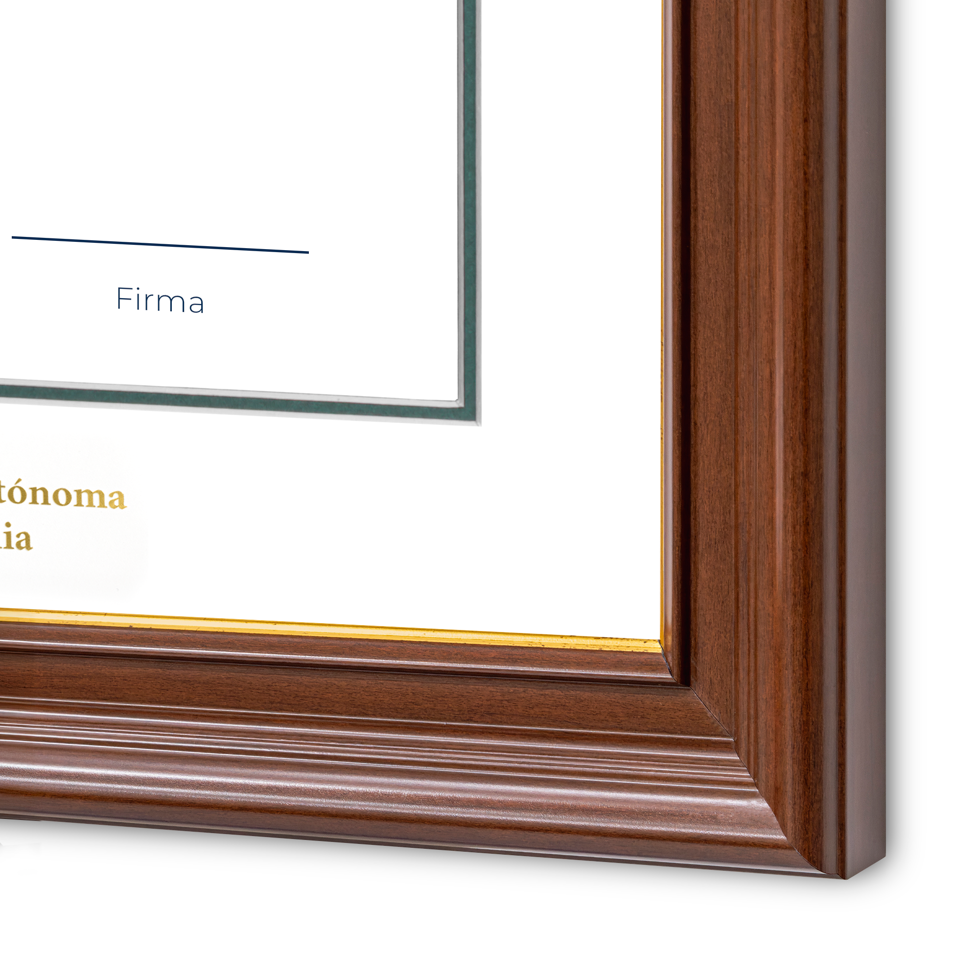 Diploma oficial UABC Marco color nogal