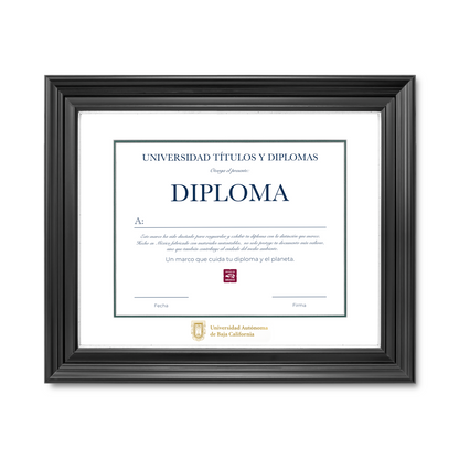 Diploma oficial UABC Marco Nogal