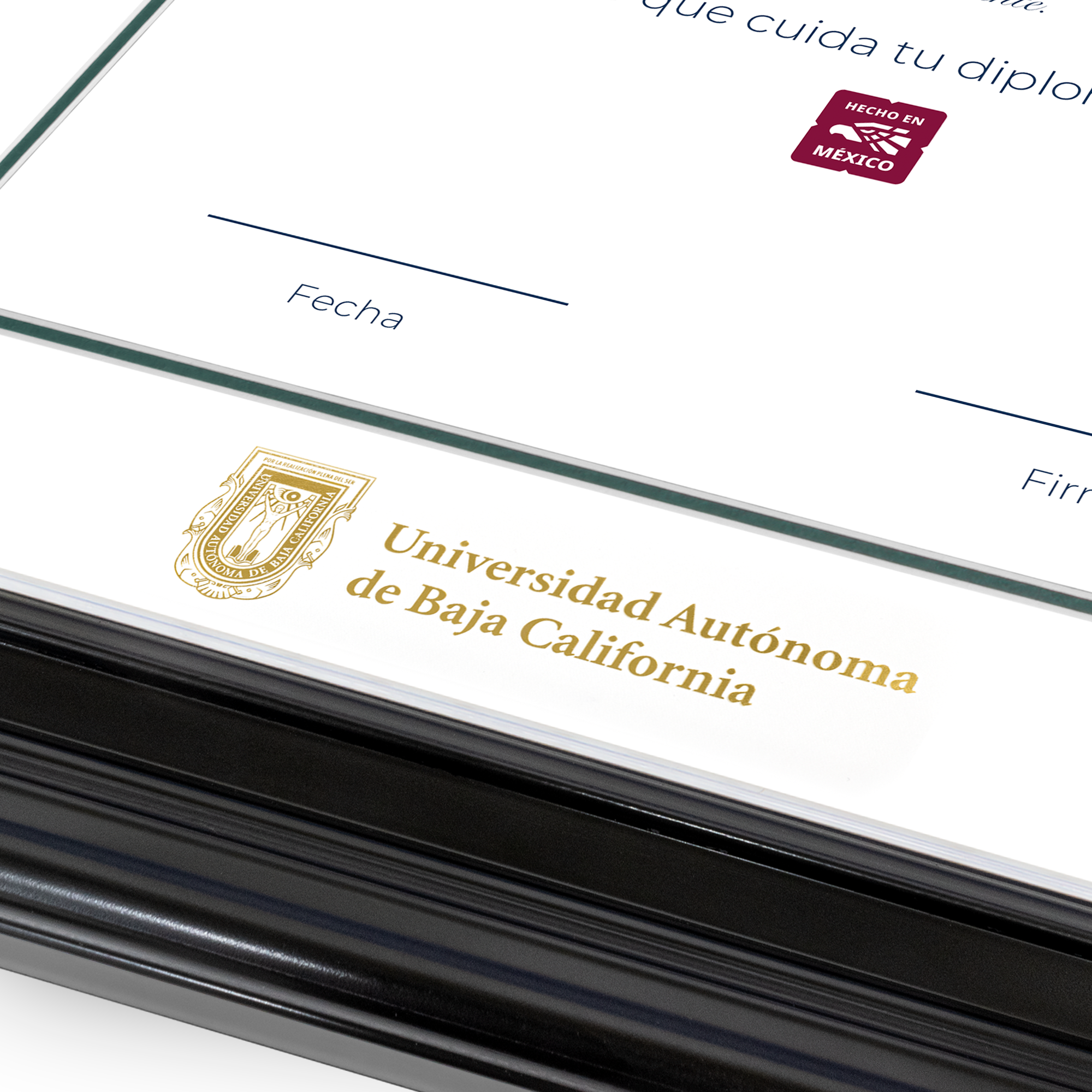 Diploma oficial UABC Marco Nogal