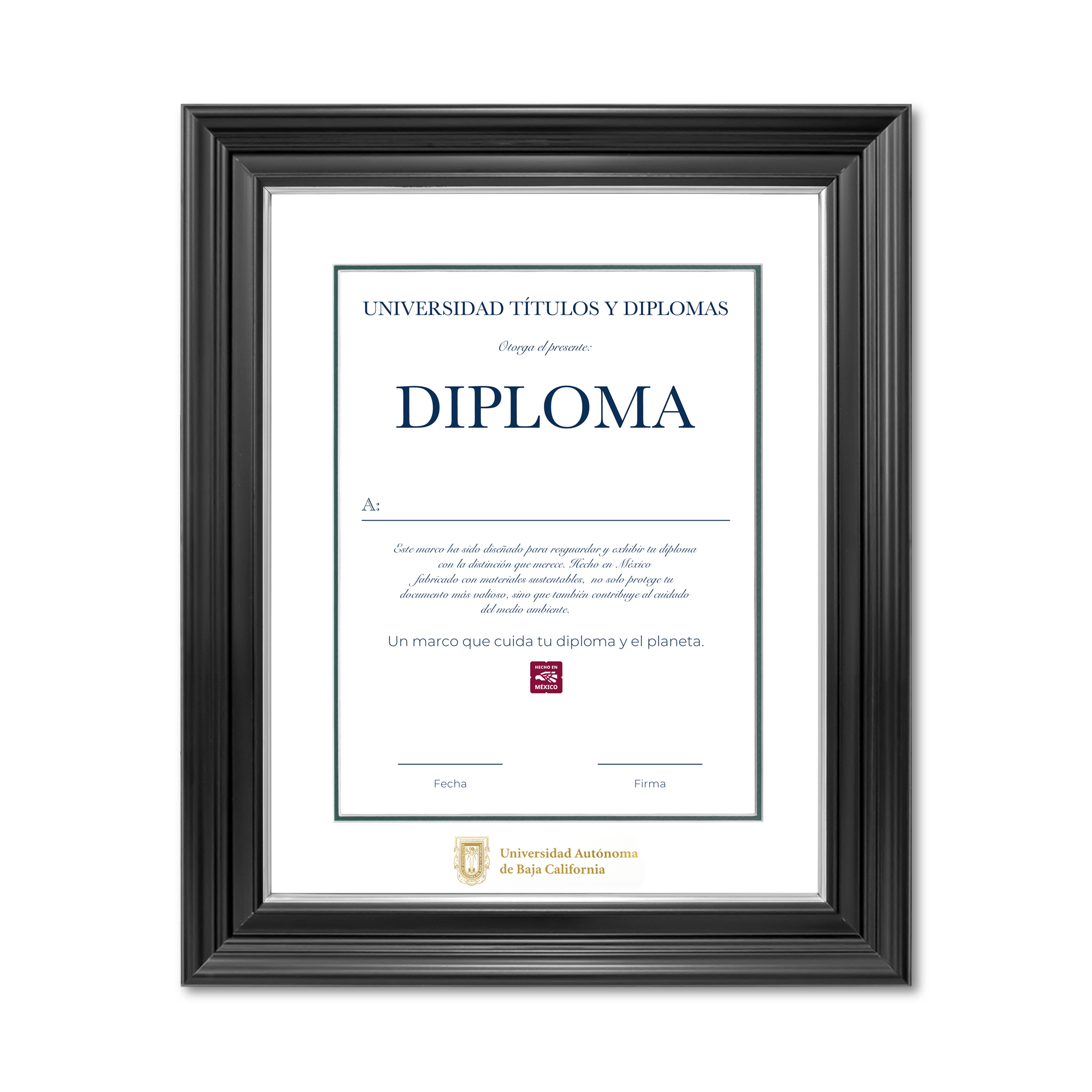 Diploma oficial UABC Marco Nogal