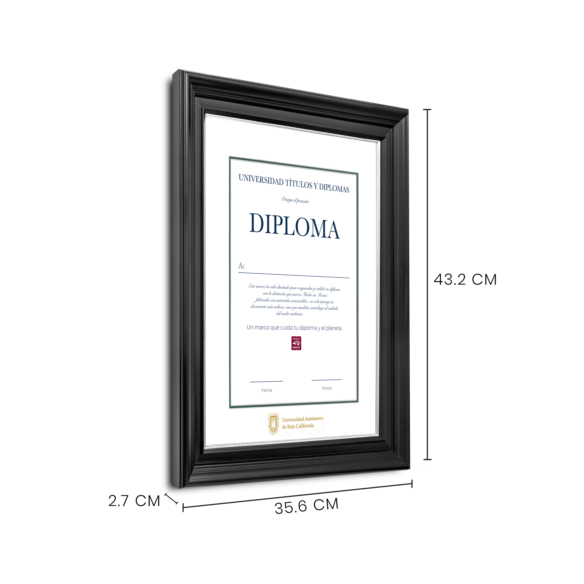 Diploma oficial UABC Marco Nogal