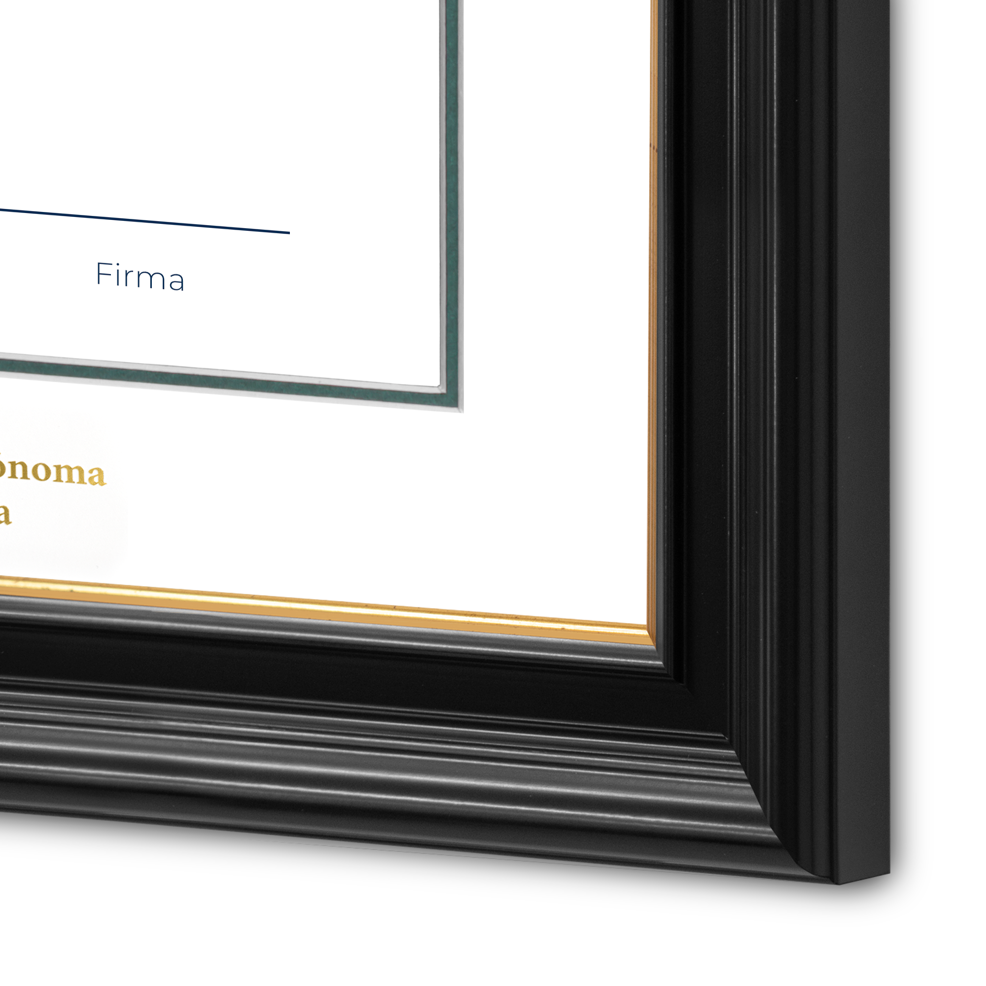 Diploma oficial UABC Marco negro