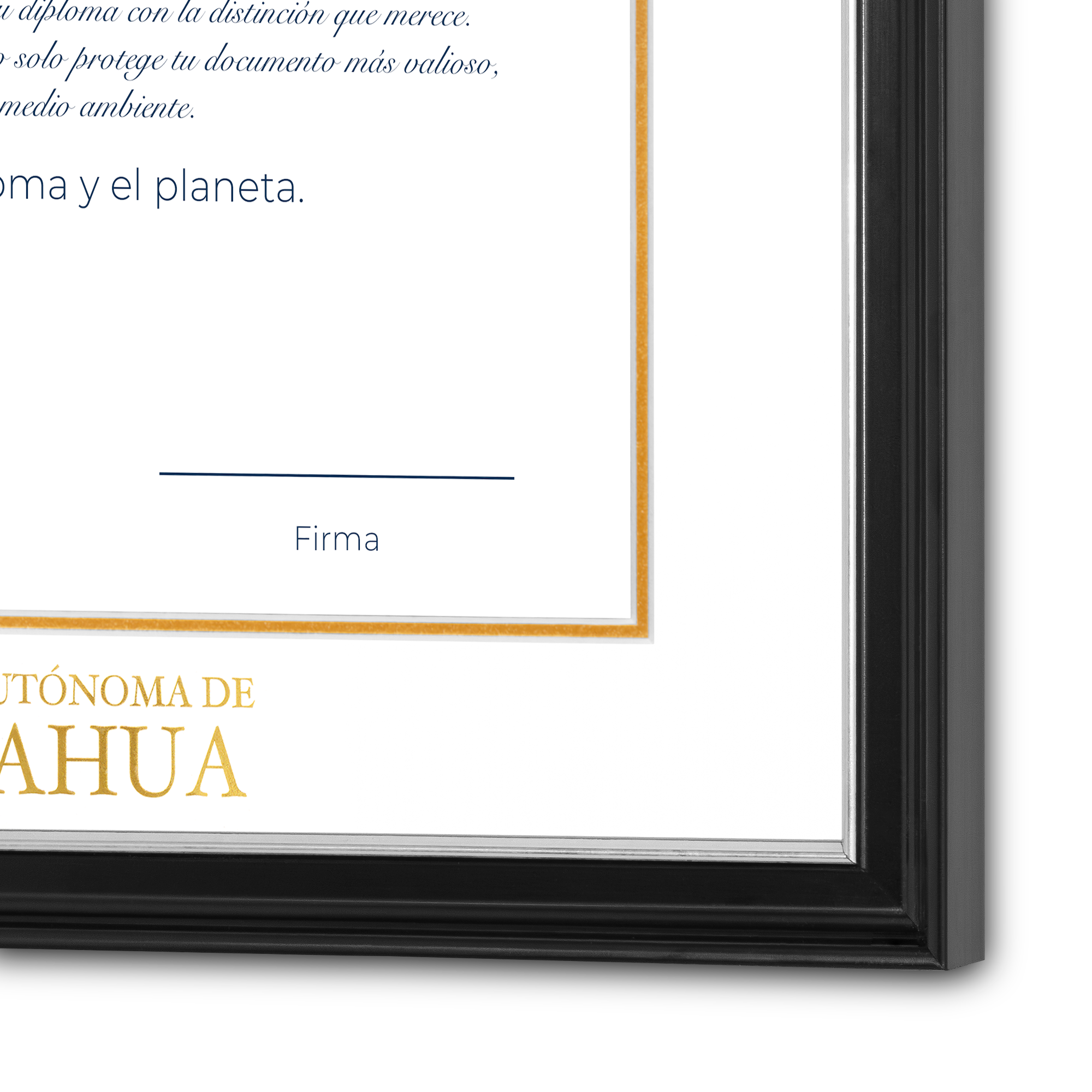 Diploma oficial UACH Marco negro con filo plateado