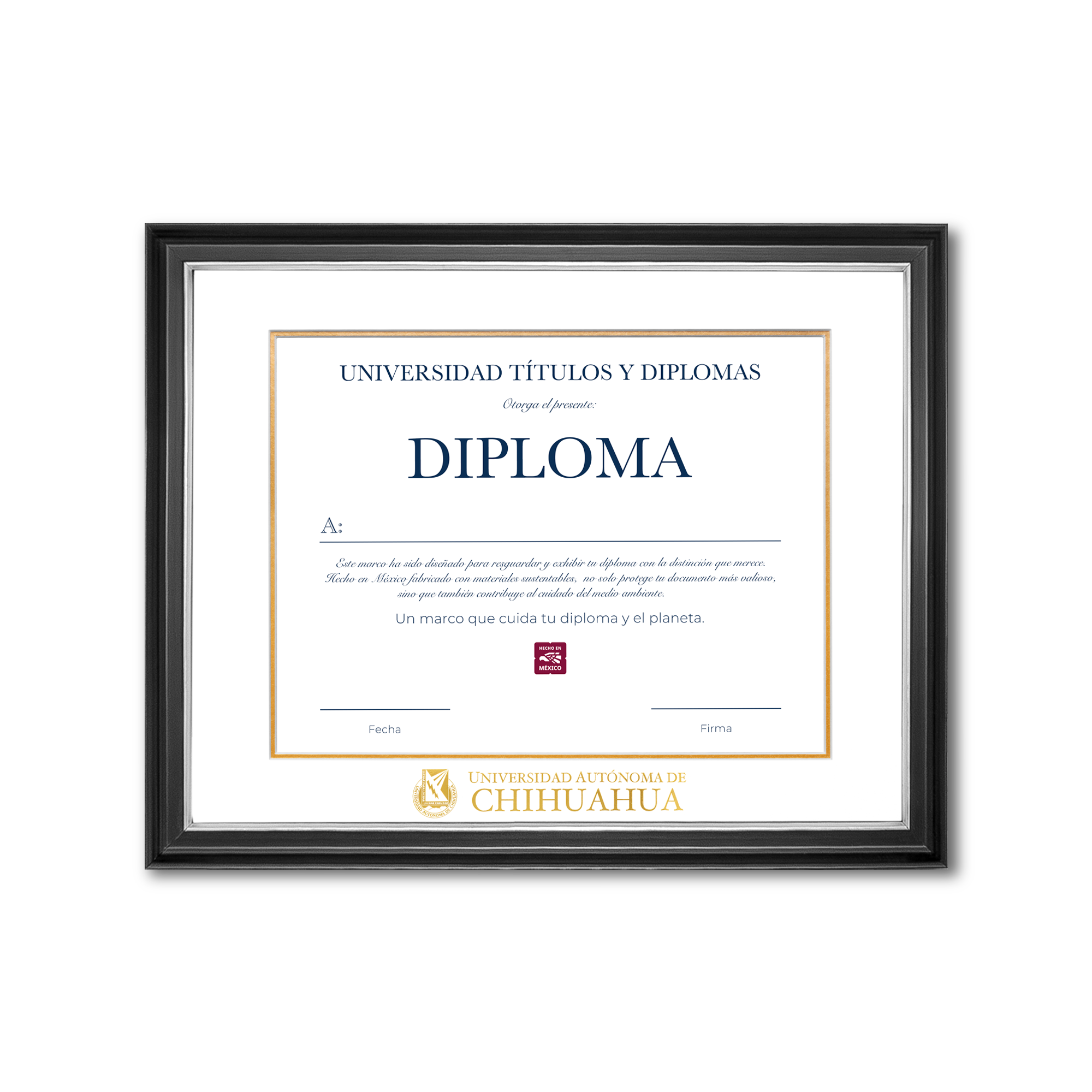 Diploma oficial UACH Marco negro con filo plateado