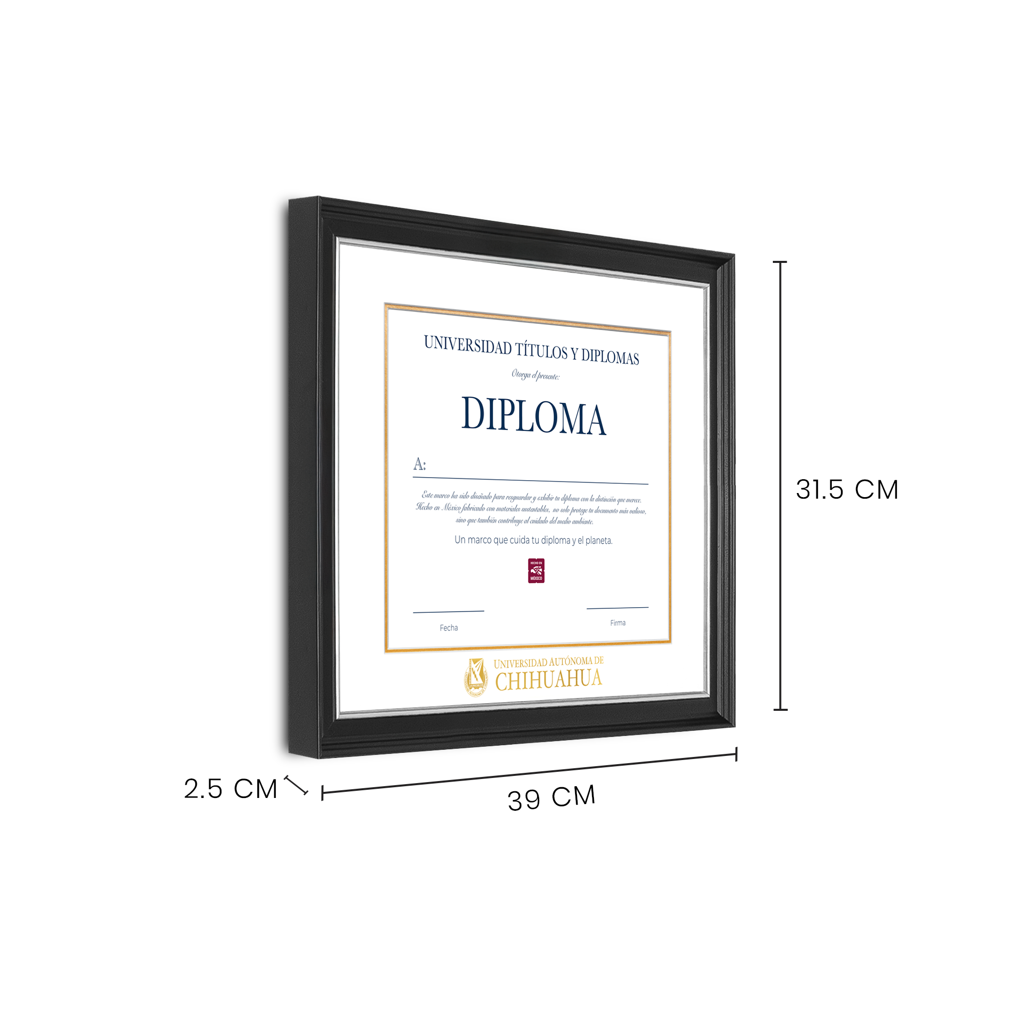 Diploma oficial UACH Marco negro con filo plateado