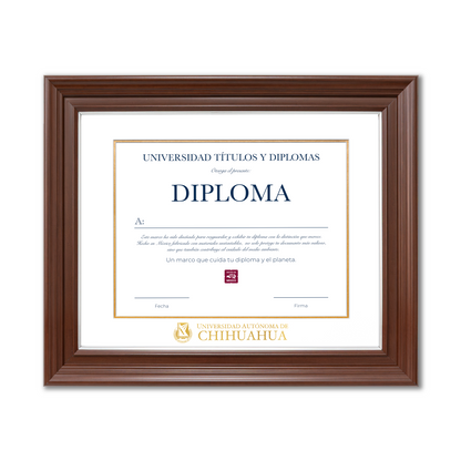 Diploma oficial UACH Marco Nogal