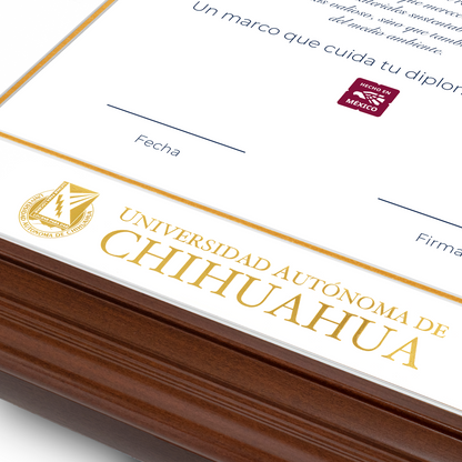 Diploma oficial UACH Marco Nogal