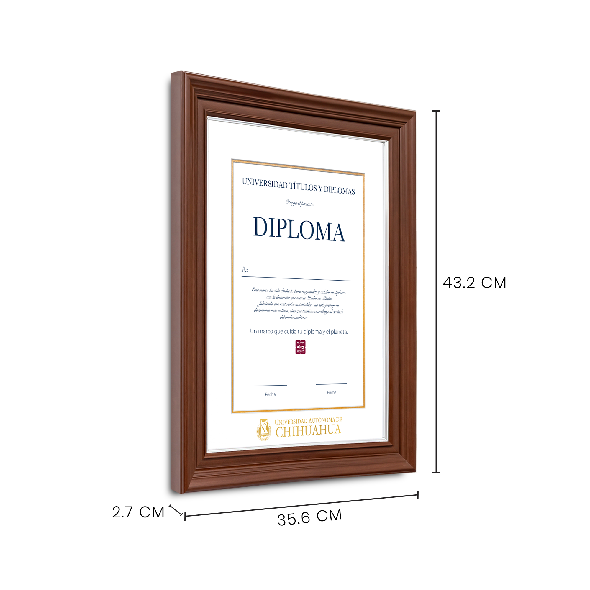 Diploma oficial UACH Marco Nogal