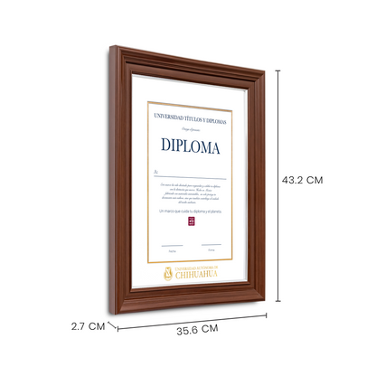 Diploma oficial UACH Marco Nogal