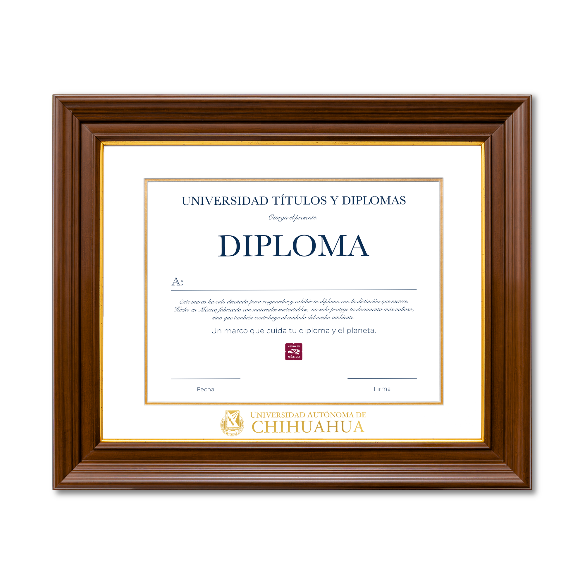 Diploma oficial UACH Marco color nogal