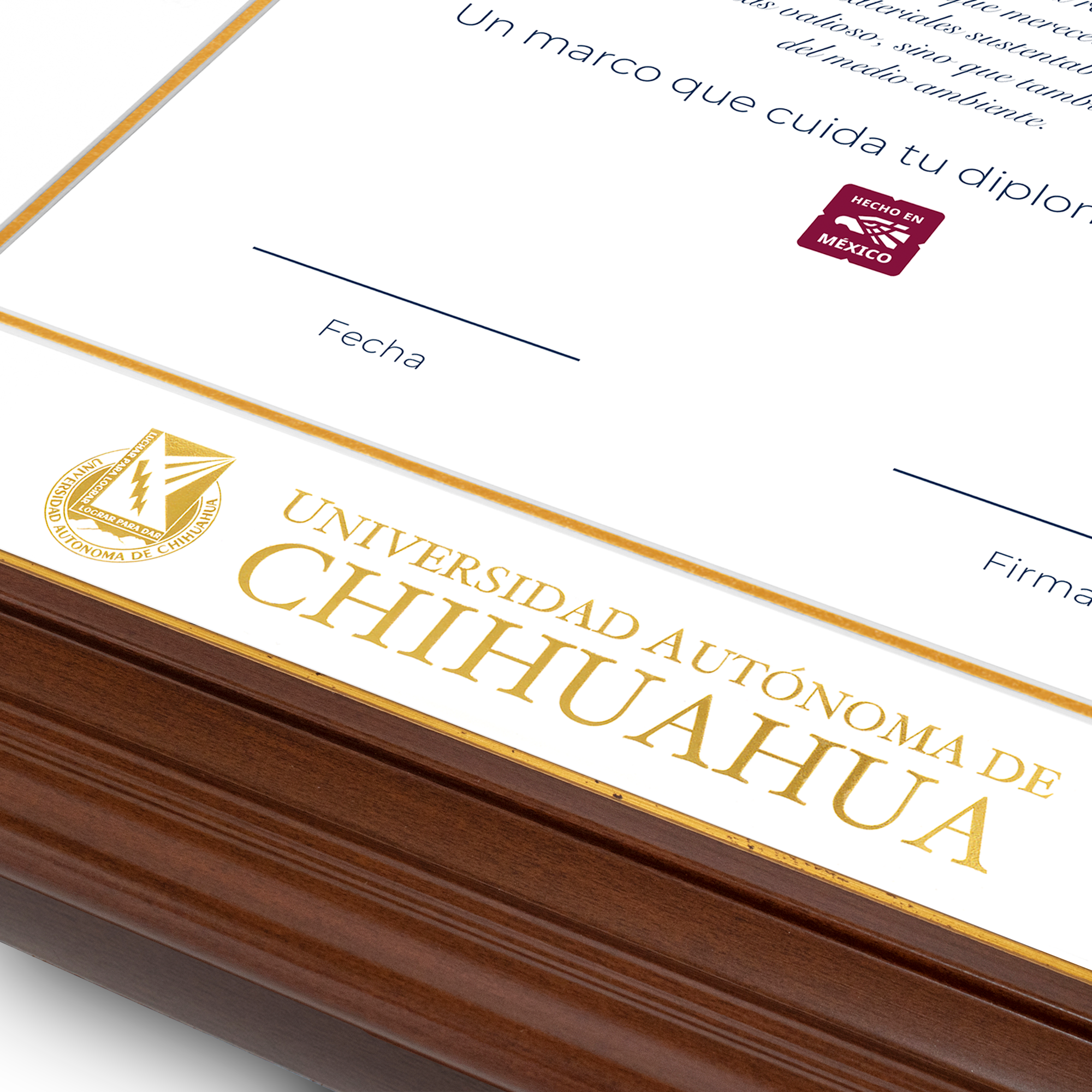 Diploma oficial UACH Marco color nogal