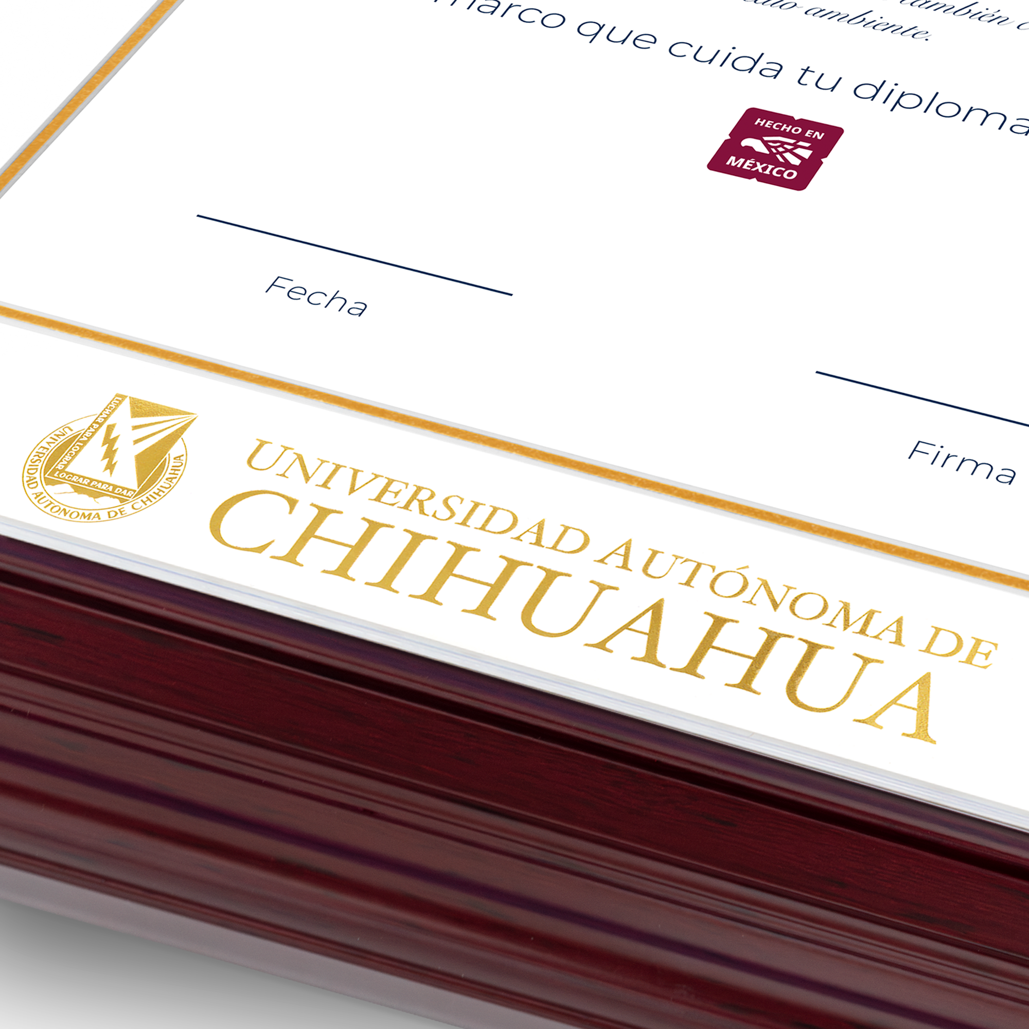 Diploma oficial UACH Marco negro