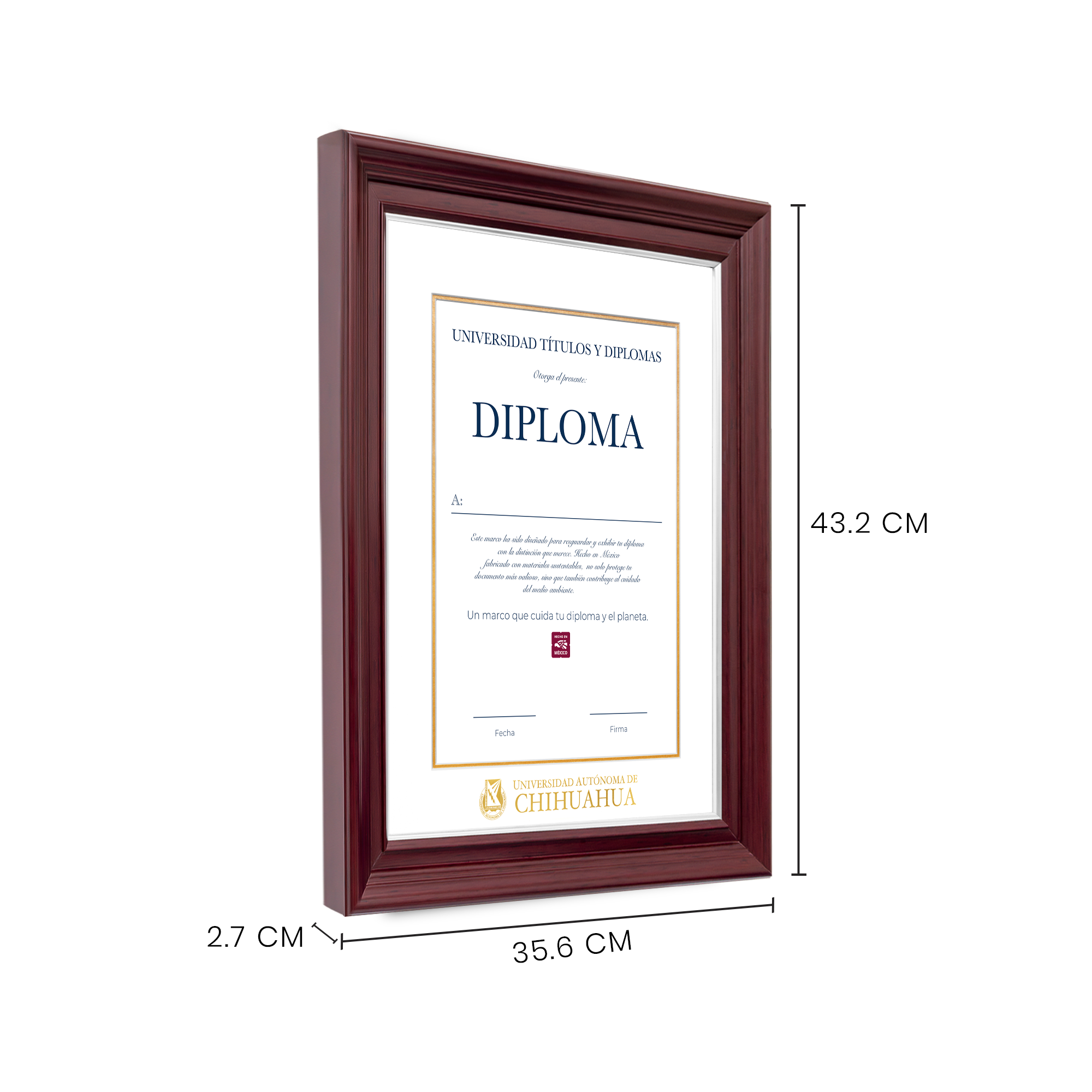 Diploma oficial UACH Marco negro