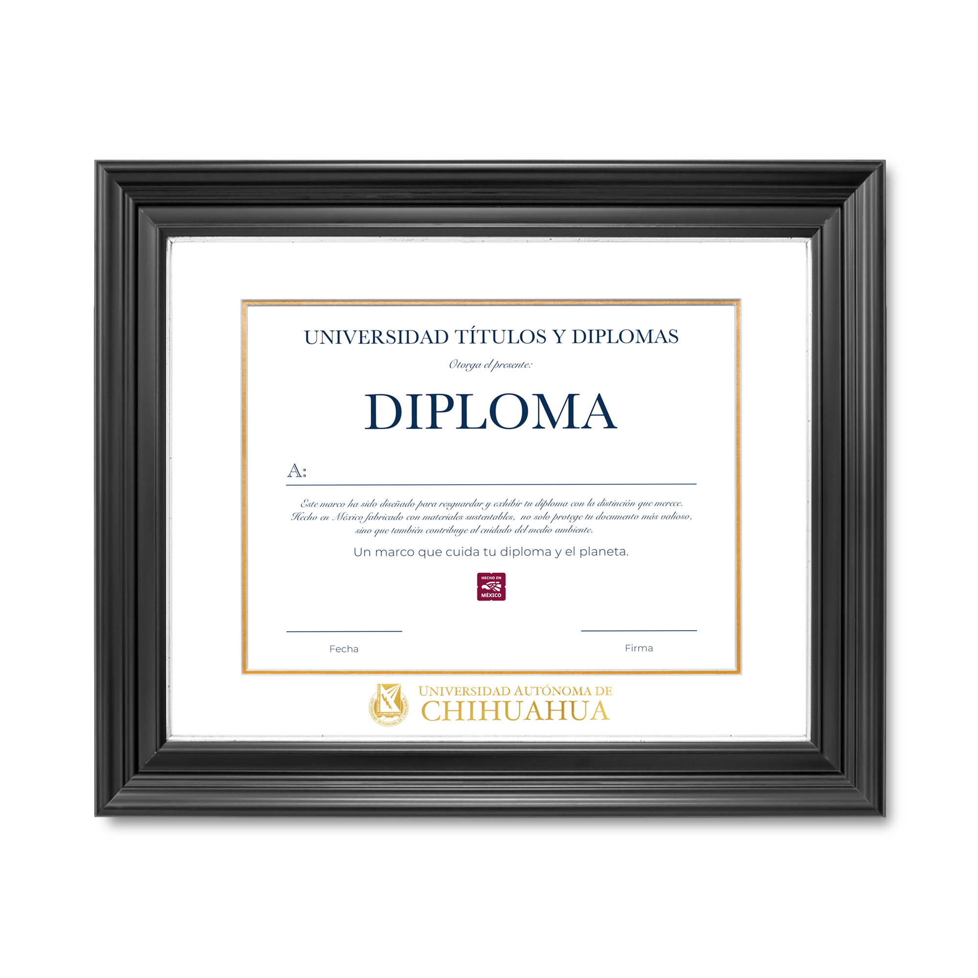 Diploma oficial UACH Marco Nogal