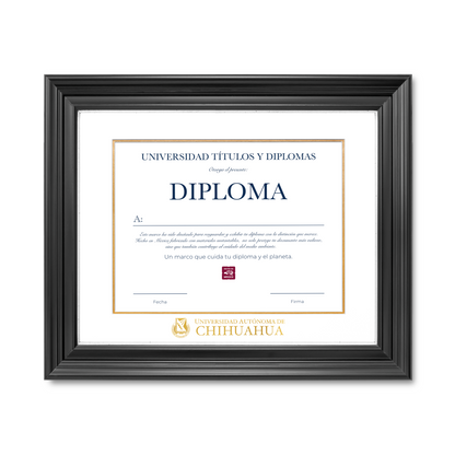 Diploma oficial UACH Marco Nogal