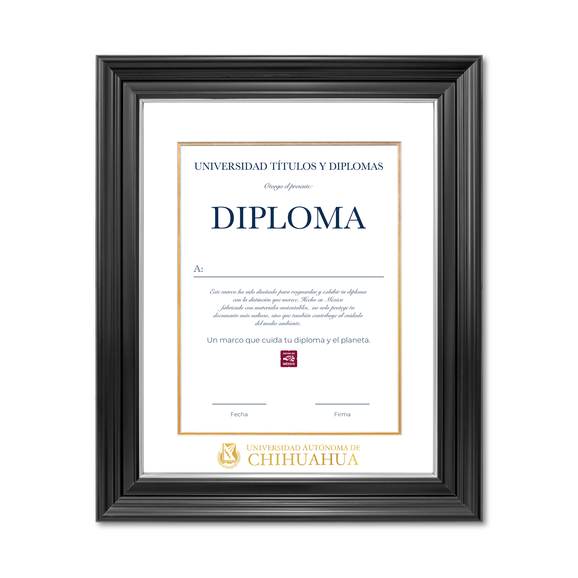 Diploma oficial UACH Marco Nogal