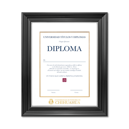 Diploma oficial UACH Marco Nogal