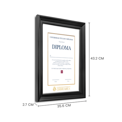 Diploma oficial UACH Marco Nogal