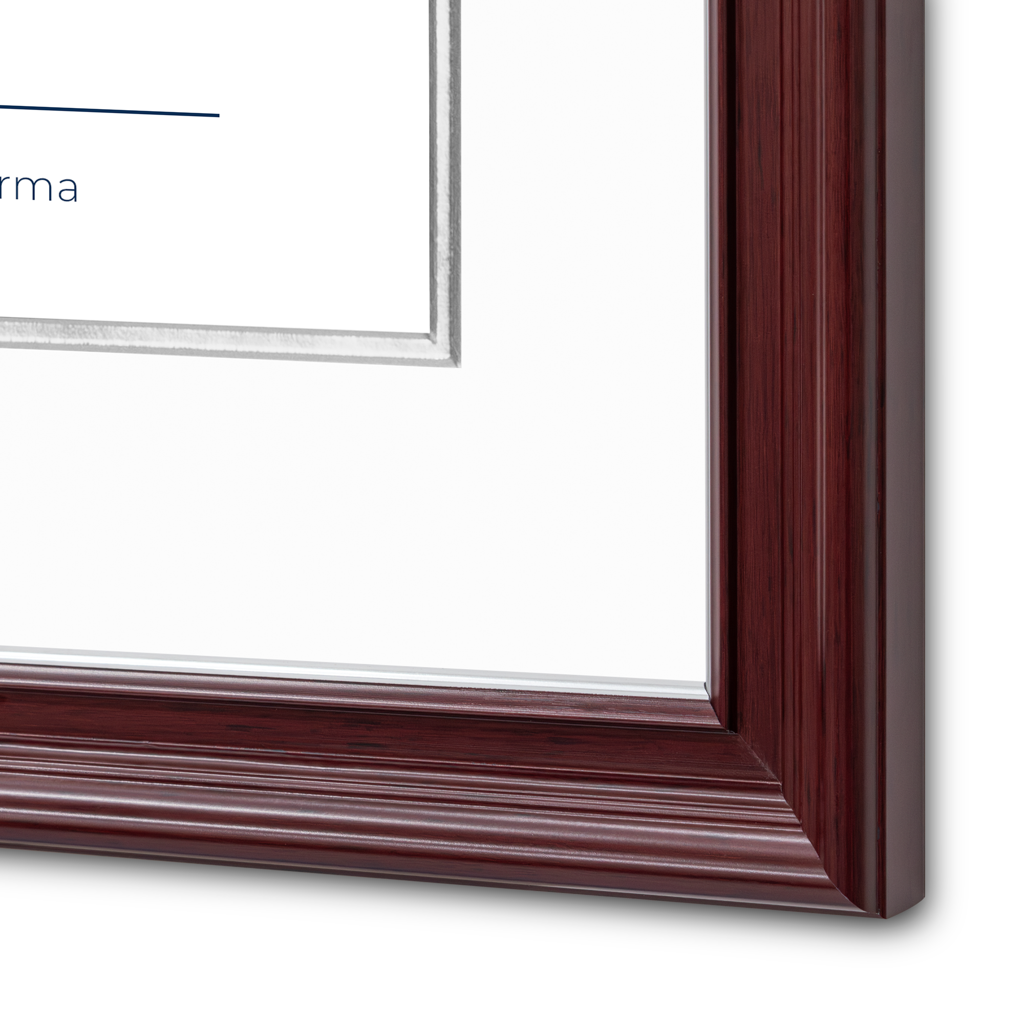 Diploma oficial UAdeC Marco Nogal