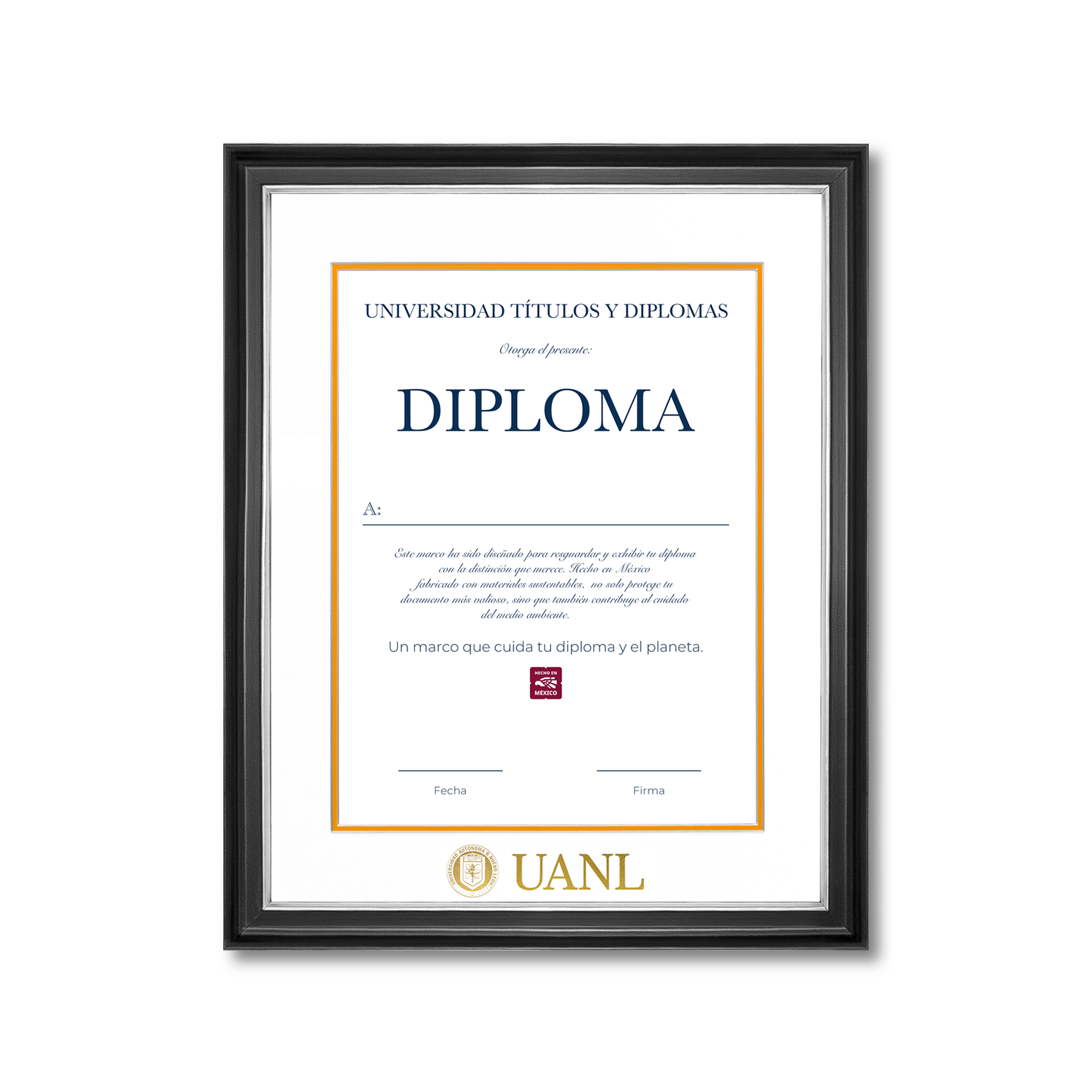 Diploma UANL de Madera