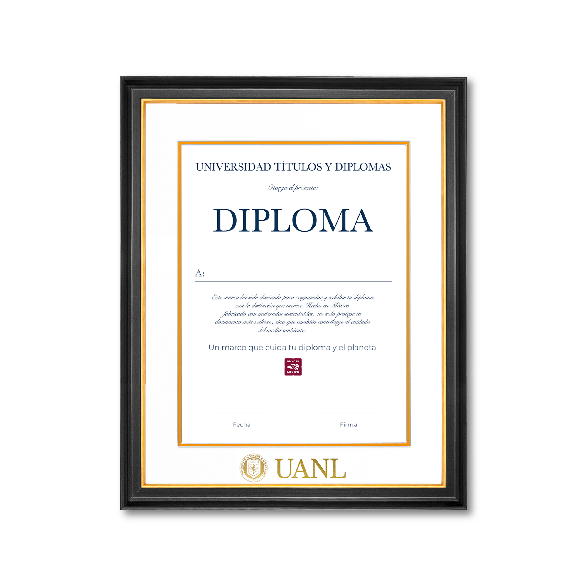 Diploma UANL de Madera