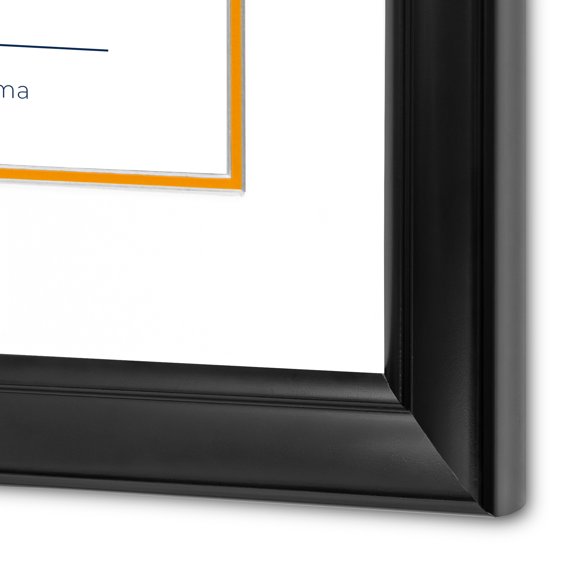 Diploma UANL de Poliestireno