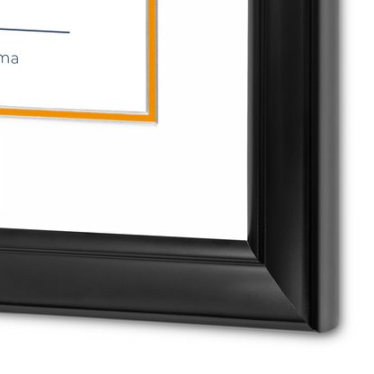 Diploma UANL de Poliestireno