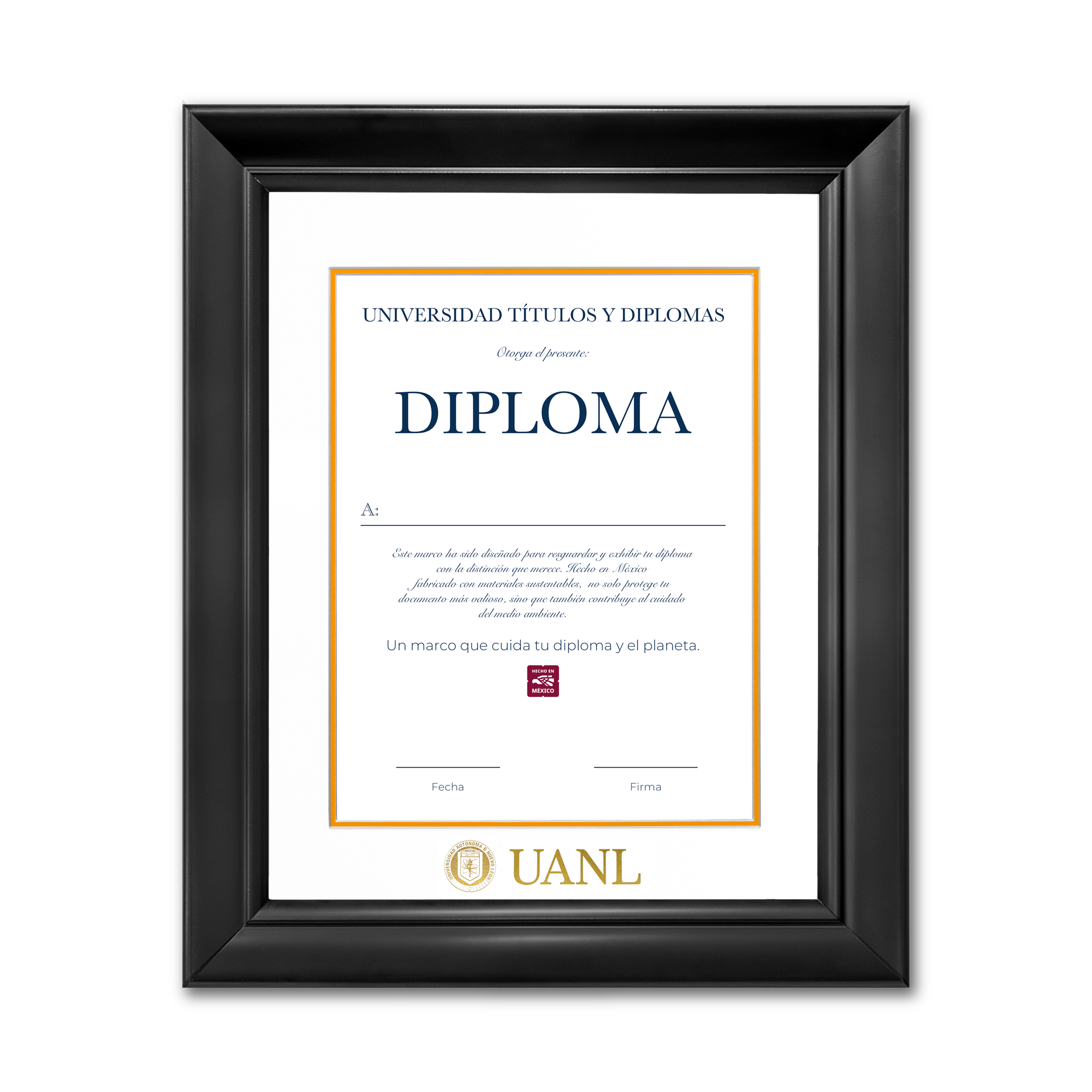 Diploma UANL de Poliestireno
