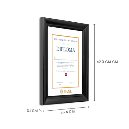 Diploma UANL de Poliestireno