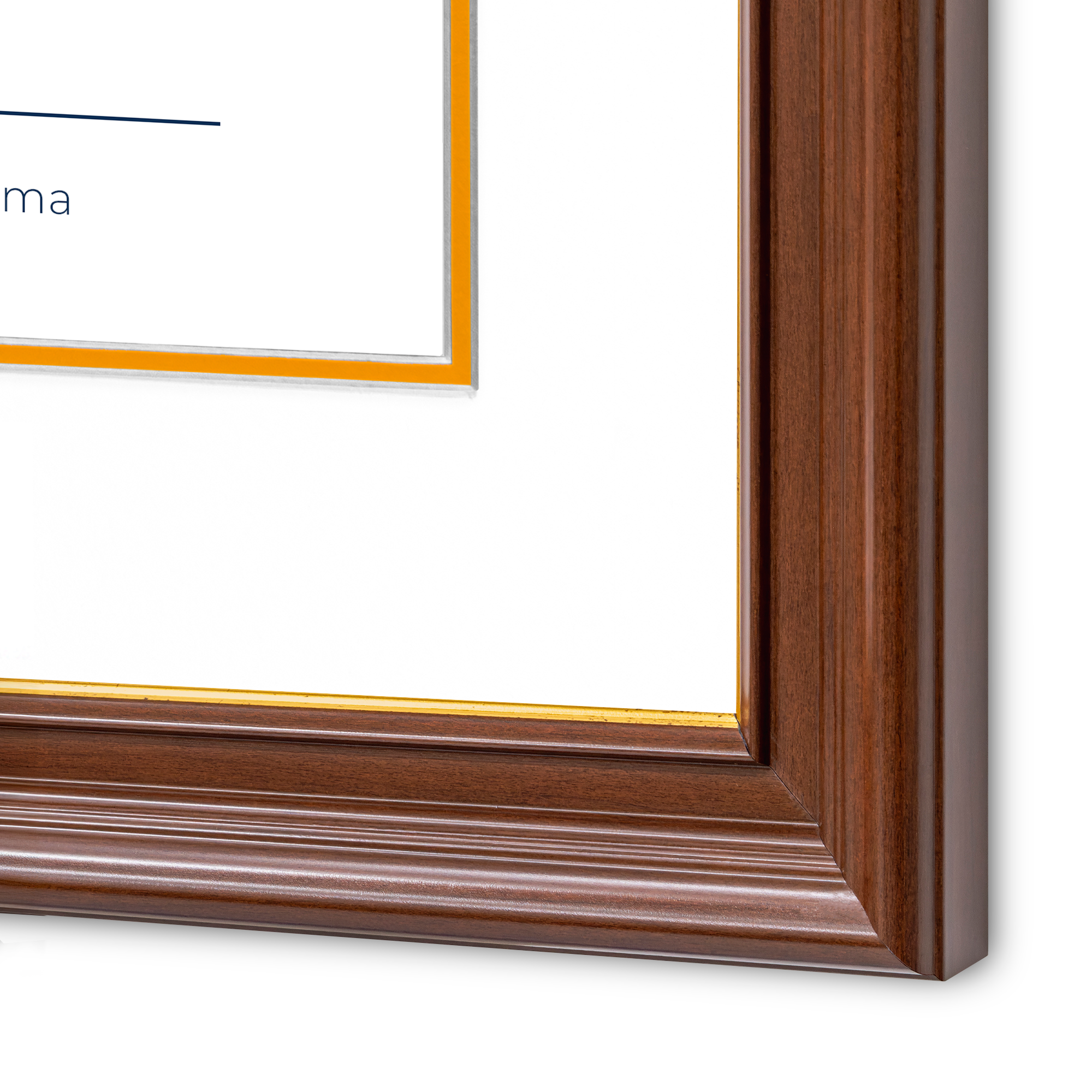 Diploma UANL de Poliestireno