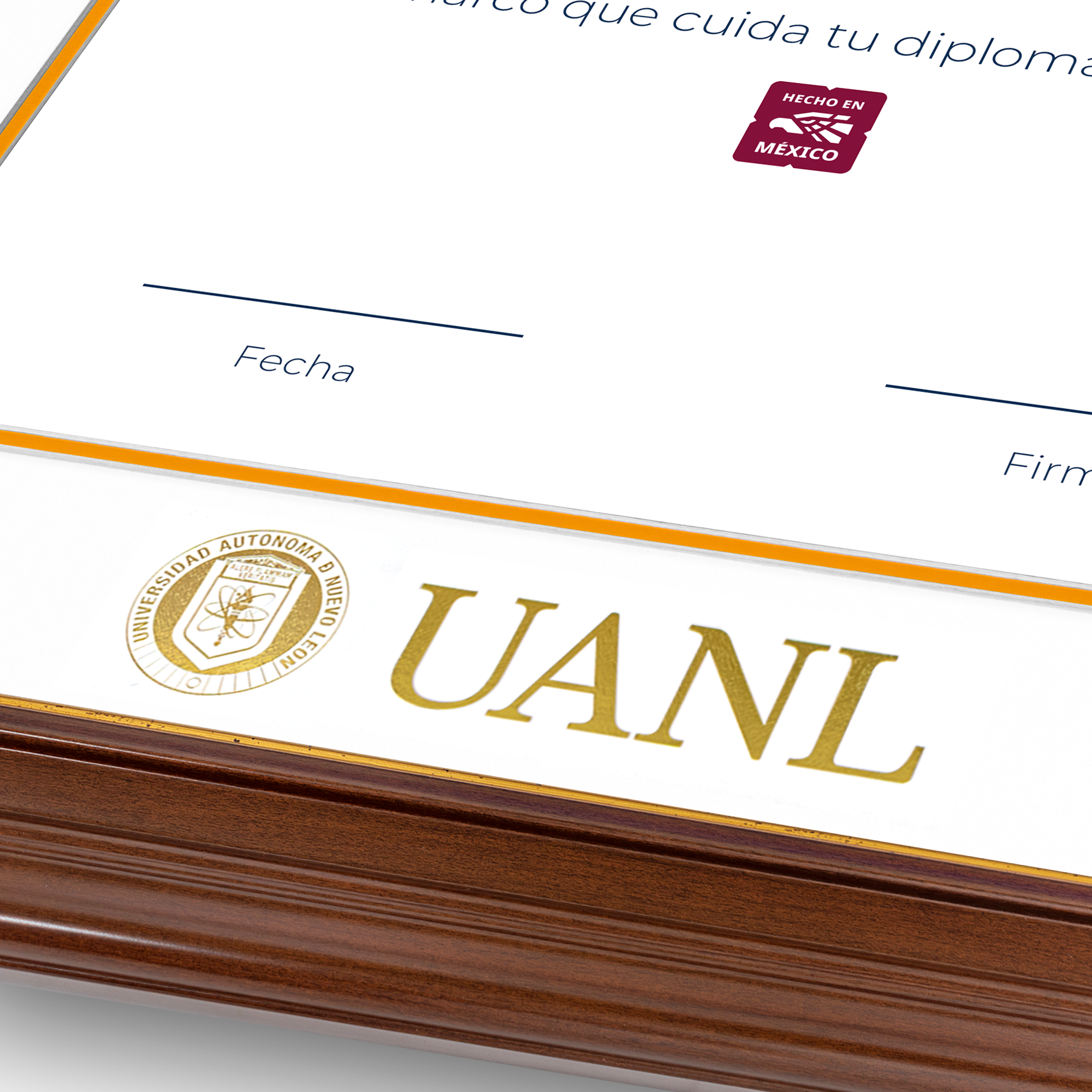 Diploma UANL de Poliestireno