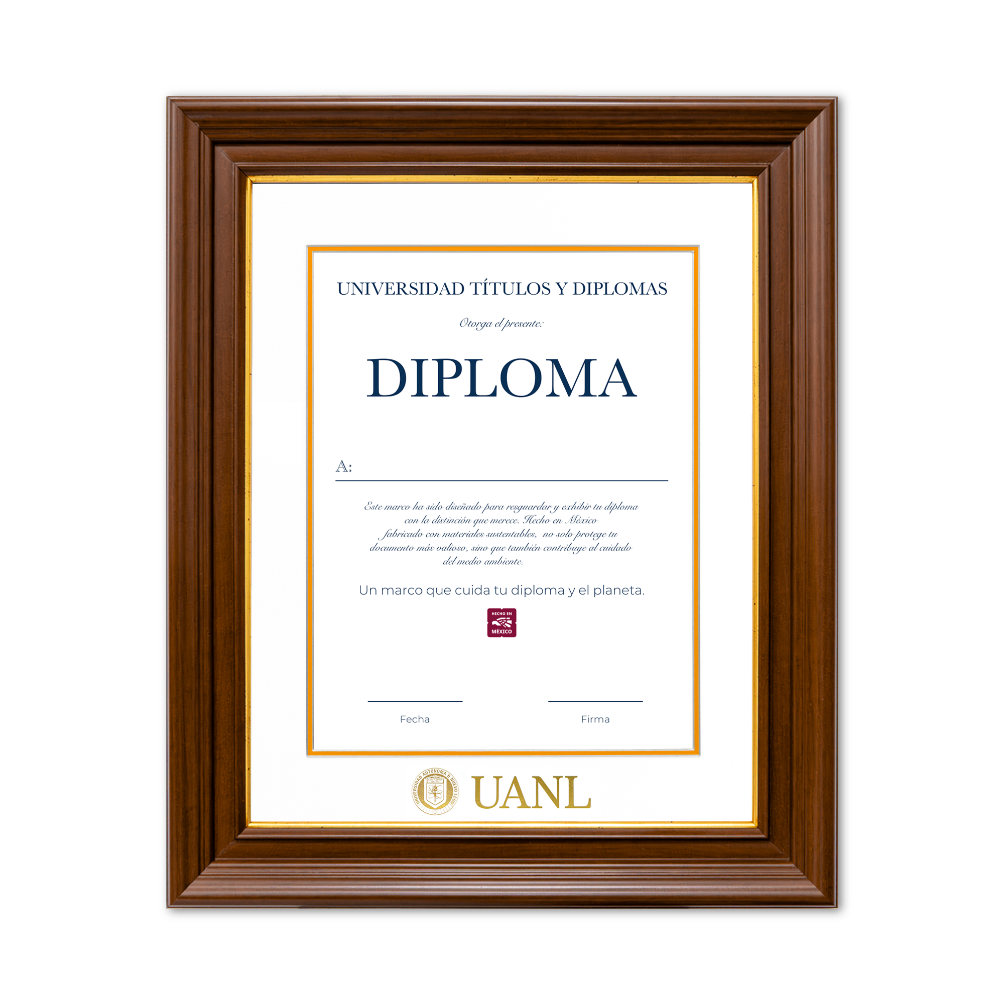 Diploma UANL de Poliestireno