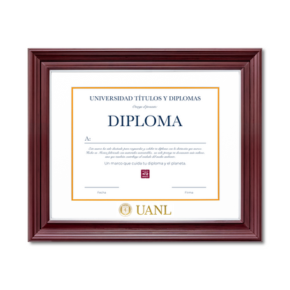 Diploma UANL de Poliestireno