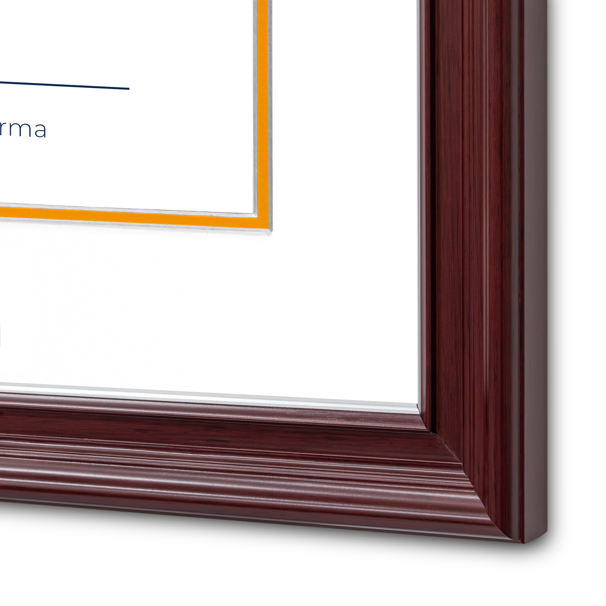 Diploma UANL de Poliestireno